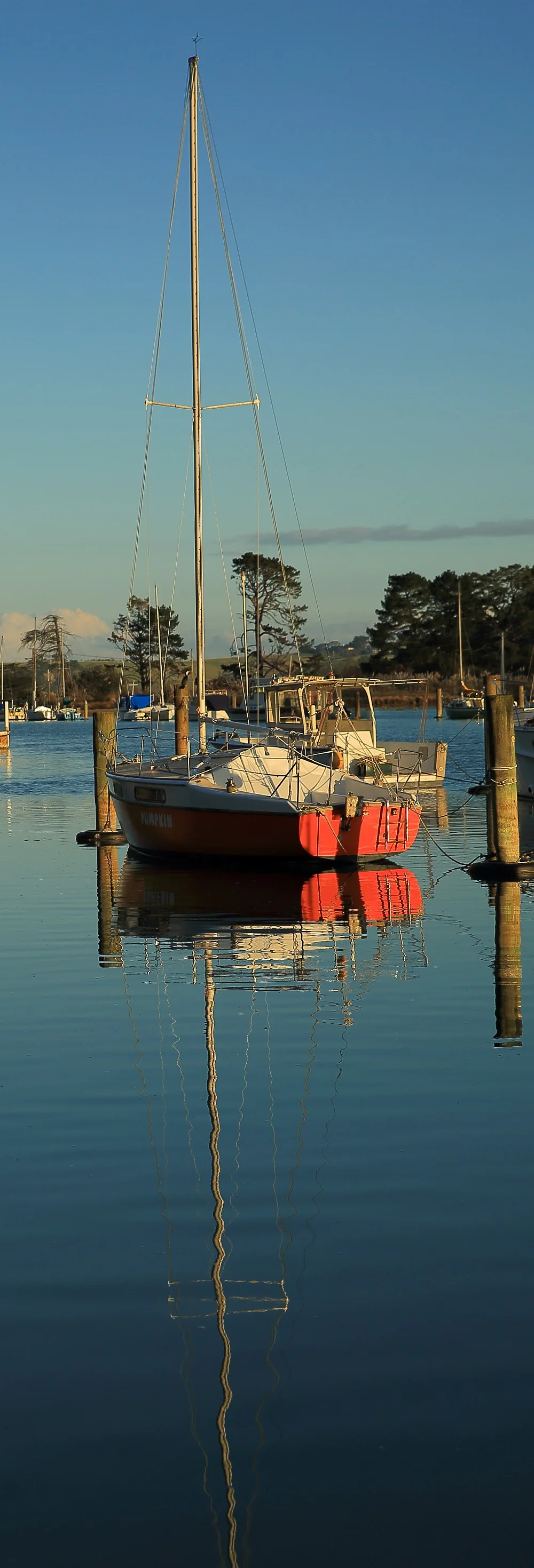 Weiti River,d145a,-.jpg