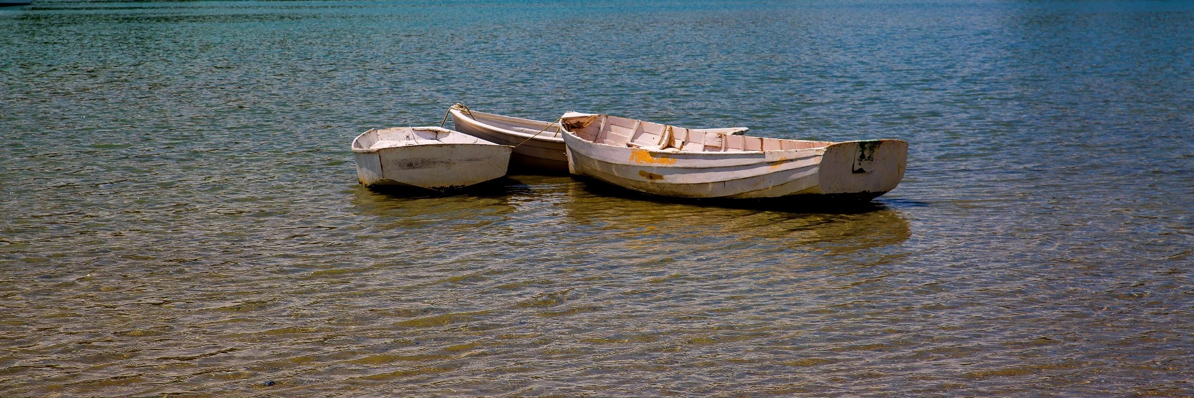 Weiti River,d-197.jpg