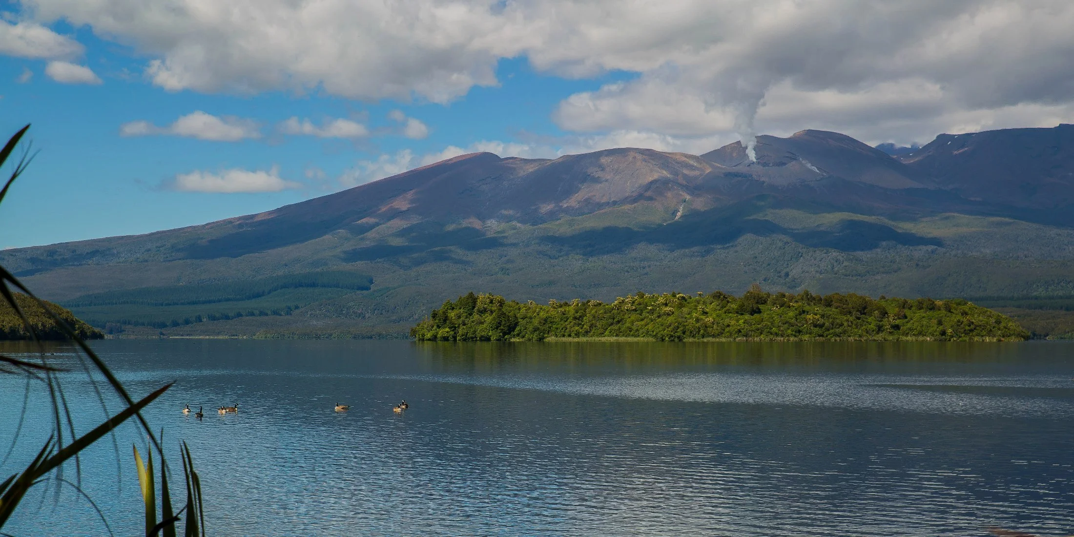Lake Rotoaira,d-823.jpg