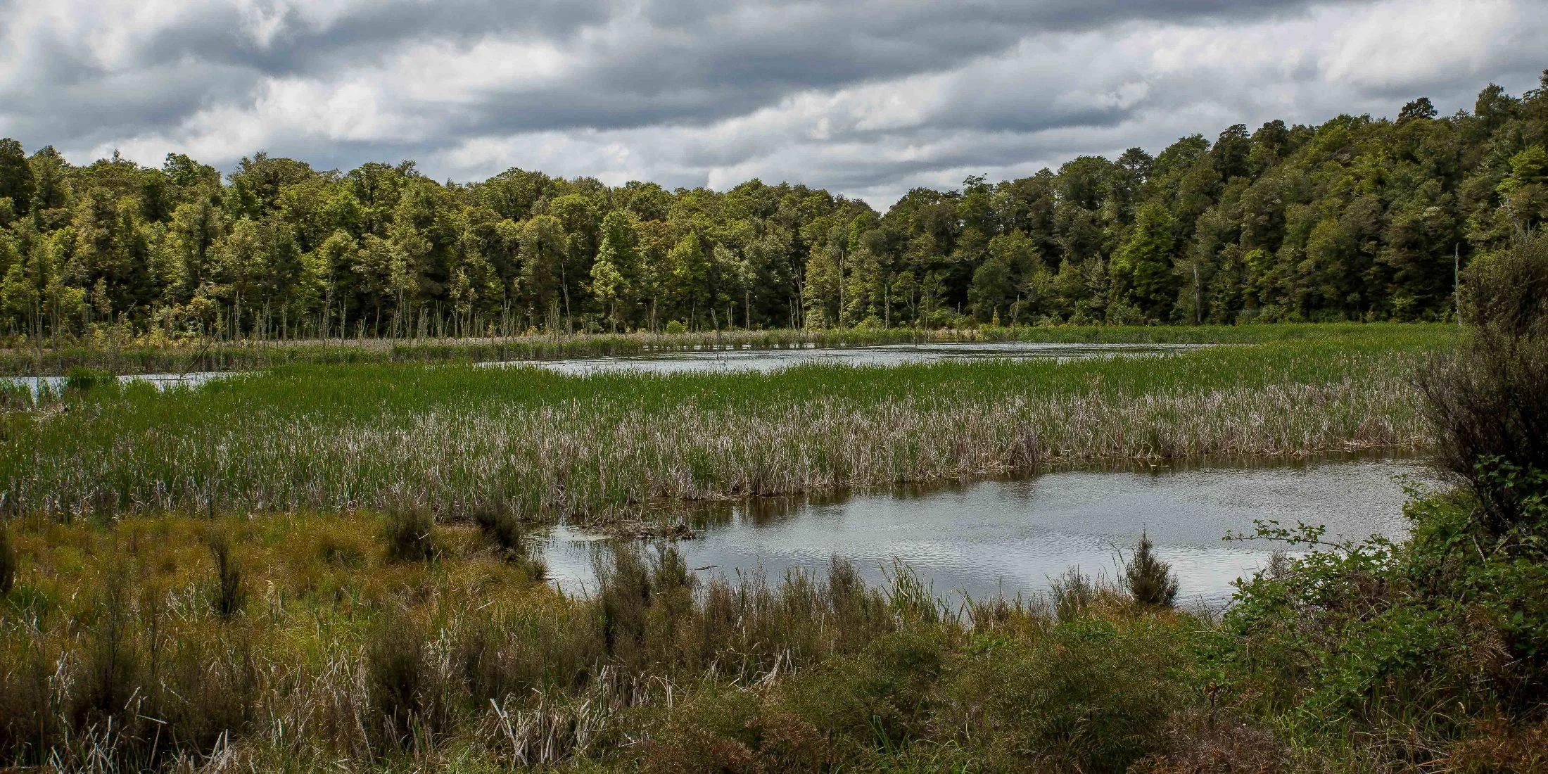 Lake Rotokura,d-552.jpg