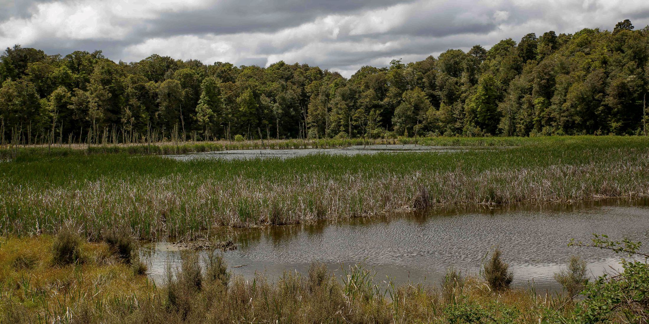 Lake Rotokura,d-553.jpg