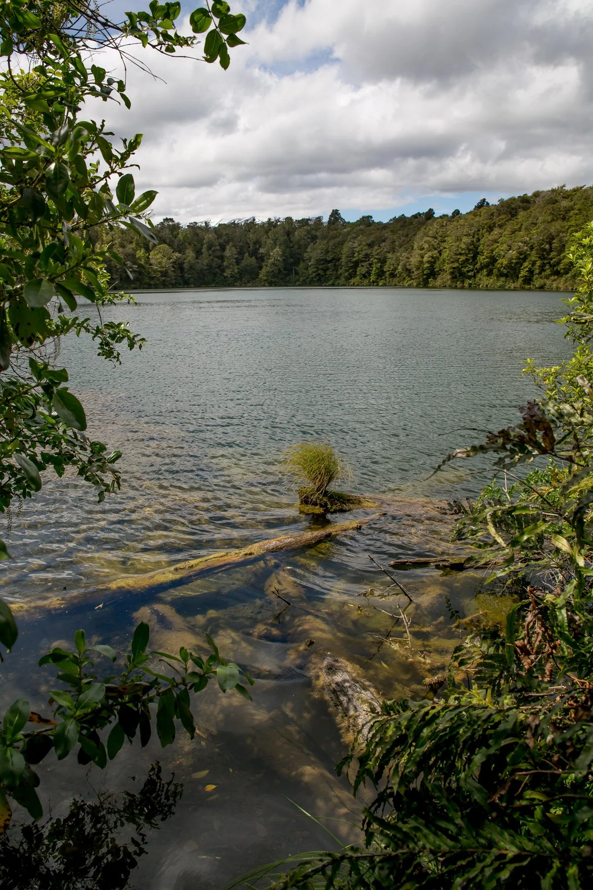 Lake Rotokura,d-557.jpg