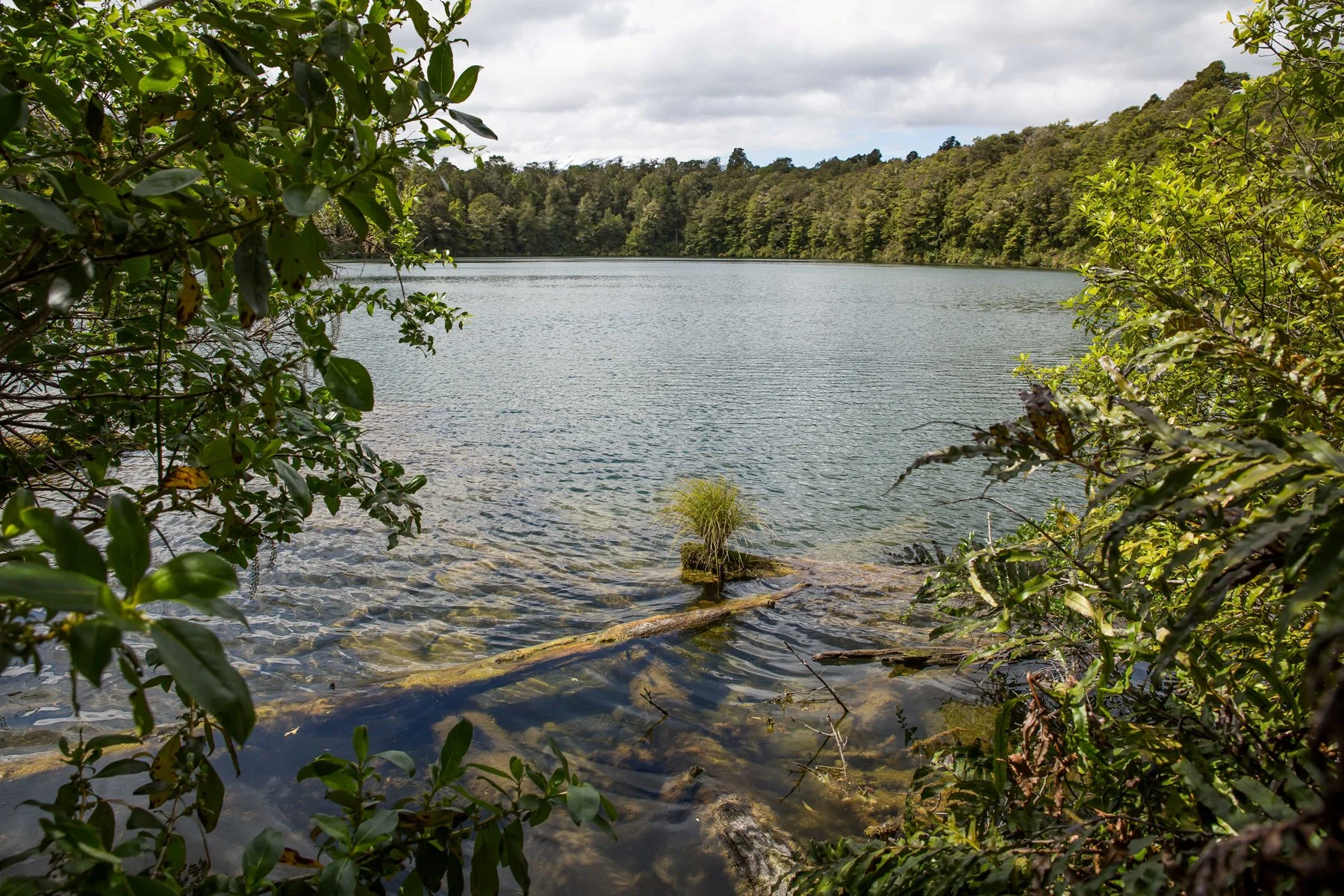 Lake Rotokura,d-558.jpg