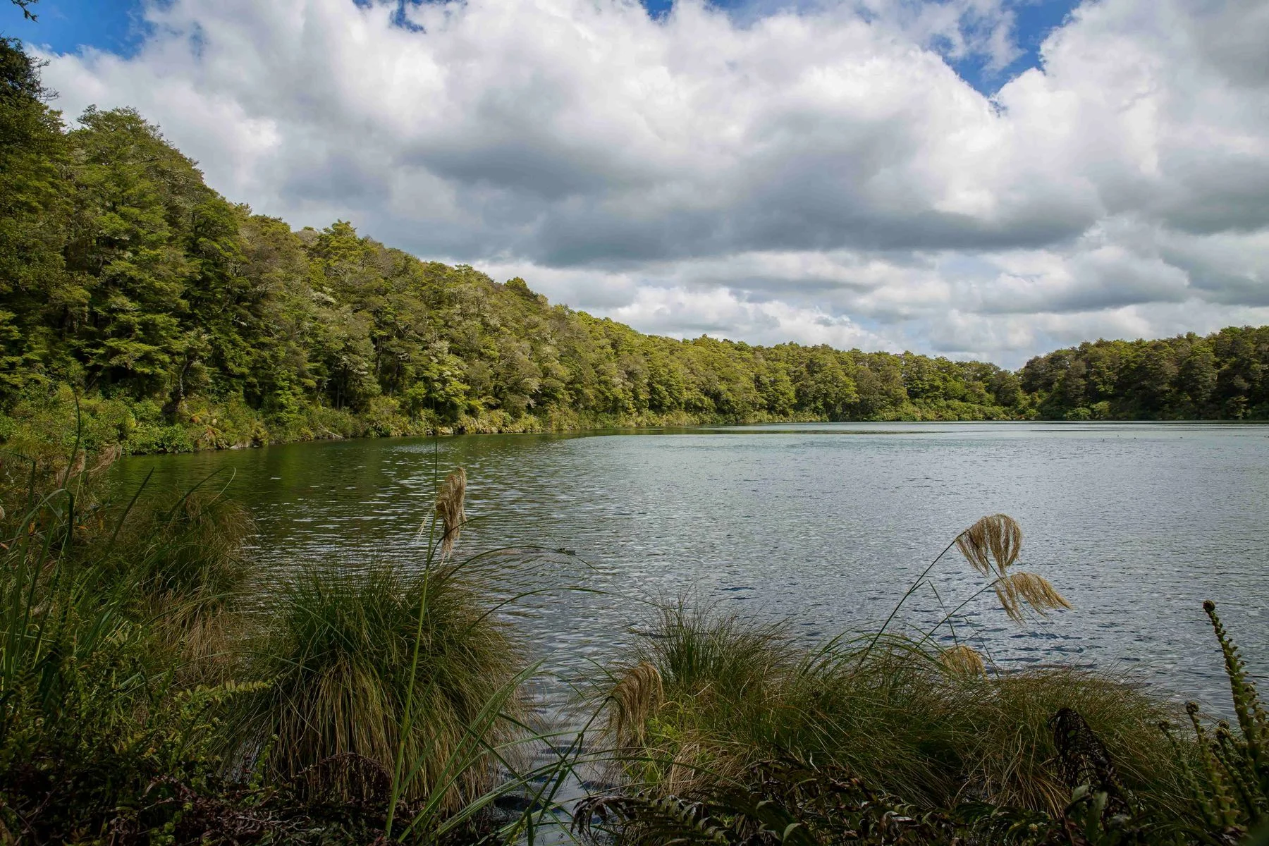 Lake Rotokura,d-563.jpg
