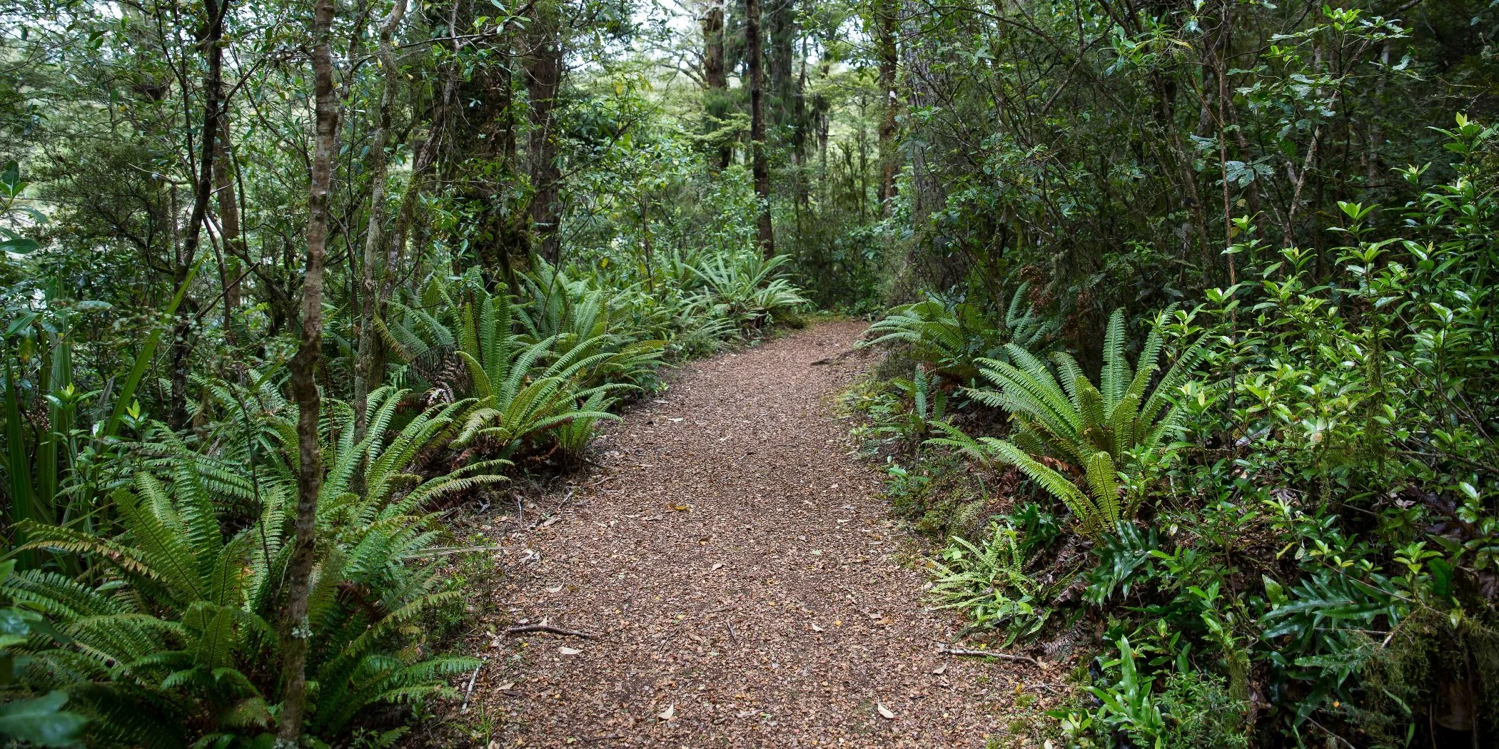 Lake Rotokura,d-571.jpg