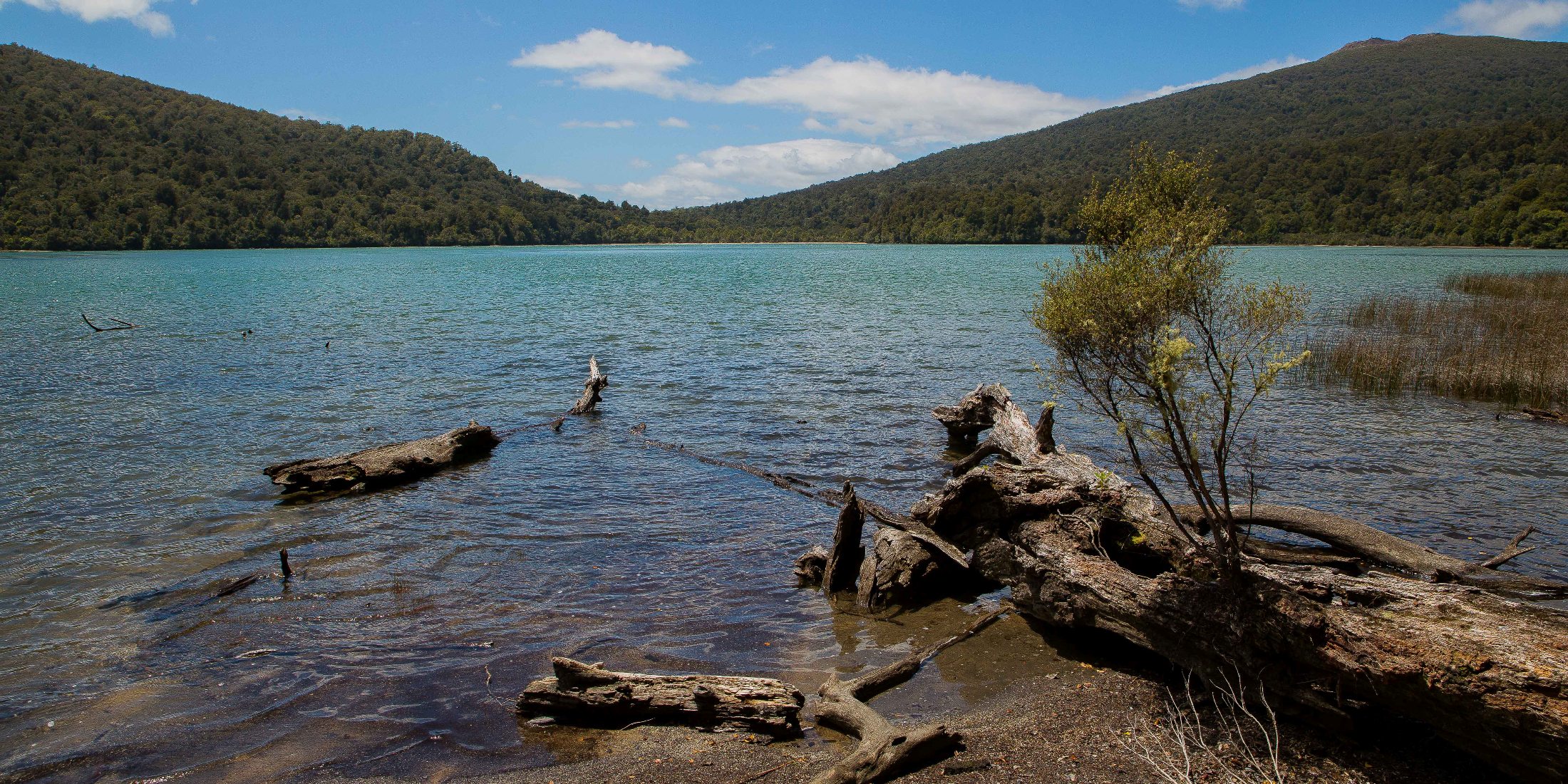 Lake Rotopounamu,d-696.jpg