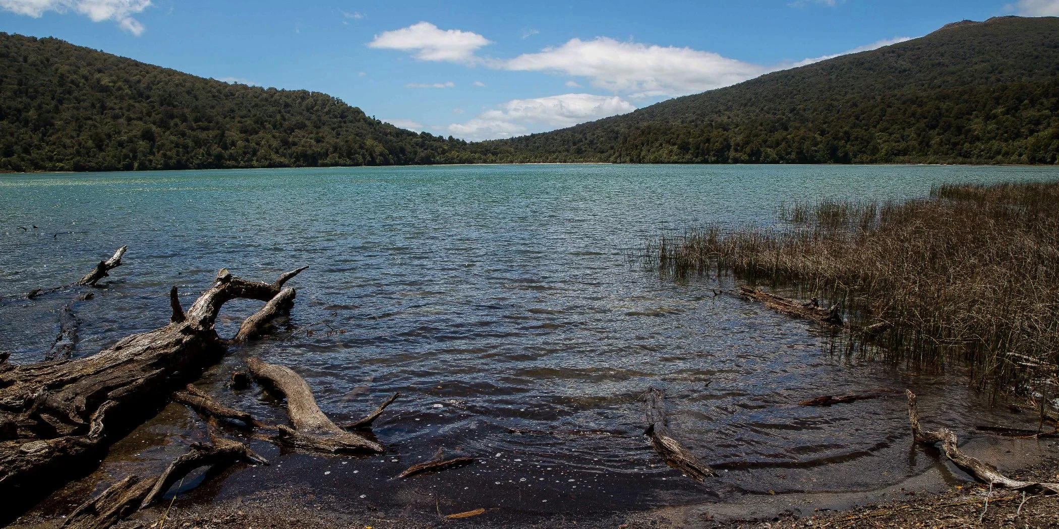 Lake Rotopounamu,d-697.jpg
