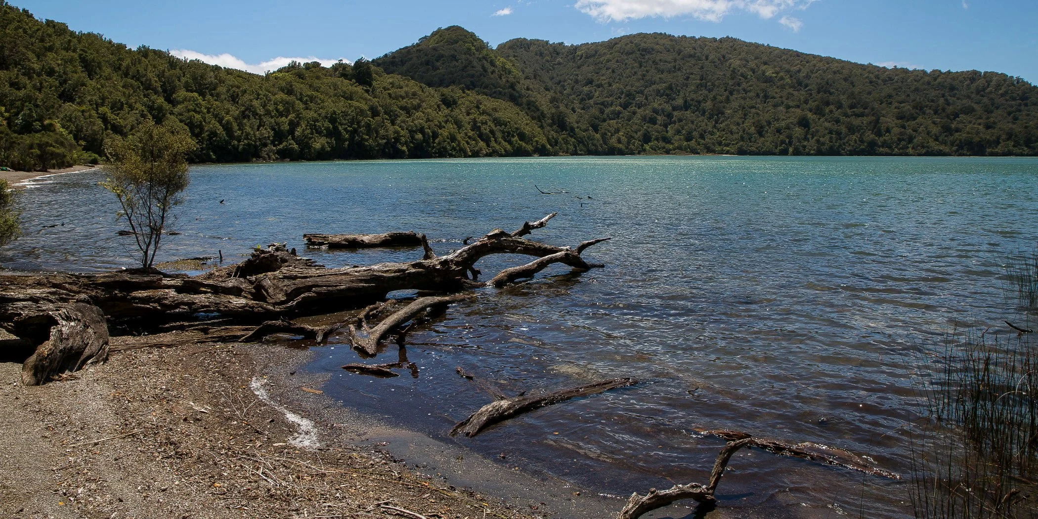 Lake Rotopounamu,d-698.jpg