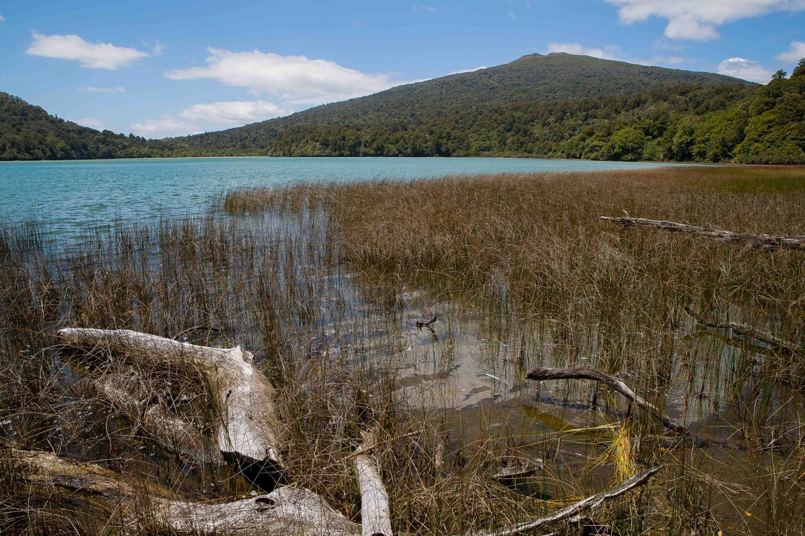 Lake Rotopounamu,d-699.jpg