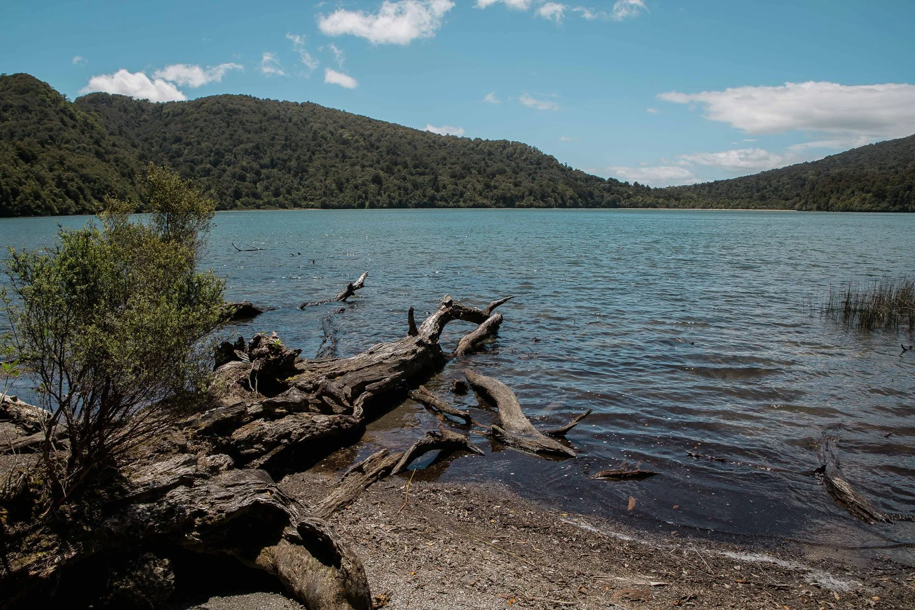 Lake Rotopounamu,d-704.jpg