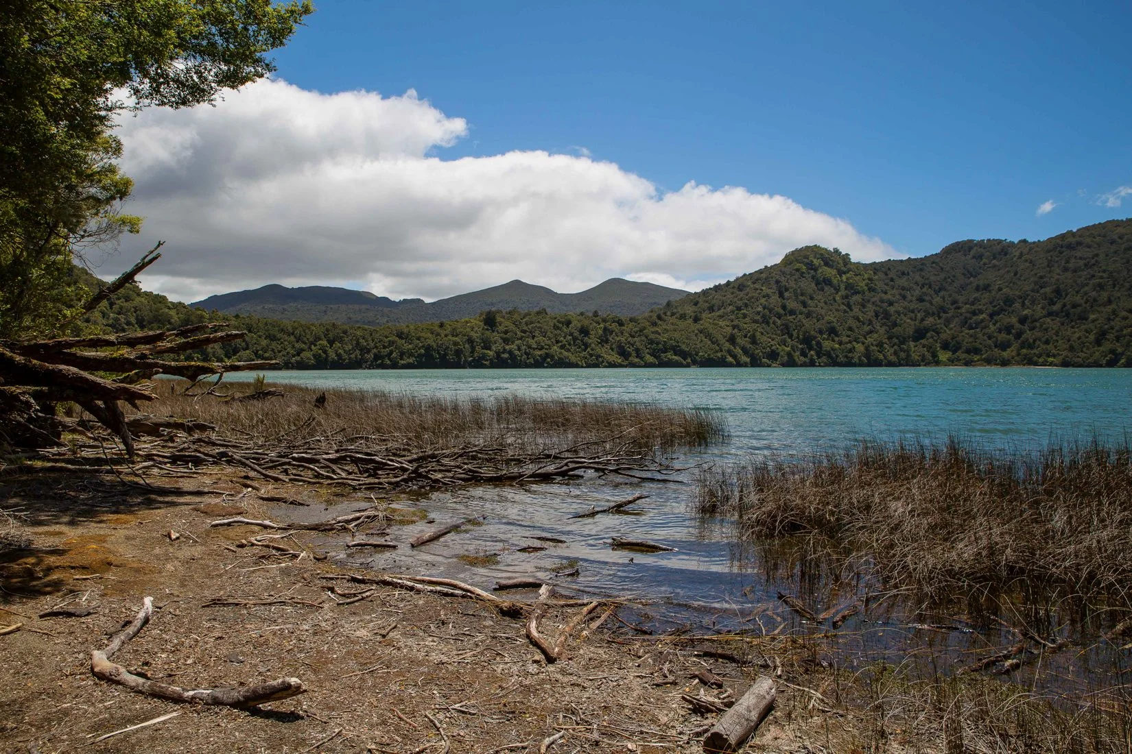 Lake Rotopounamu,d-707.jpg