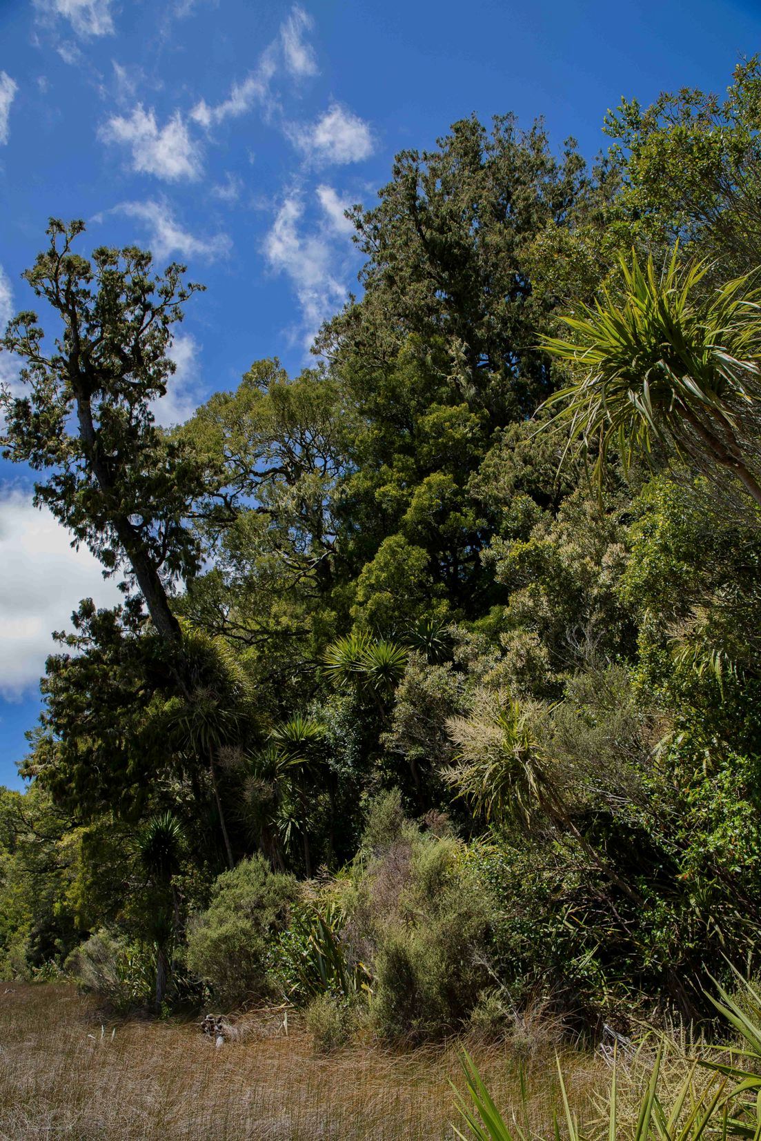 Lake Rotopounamu,d-708.jpg