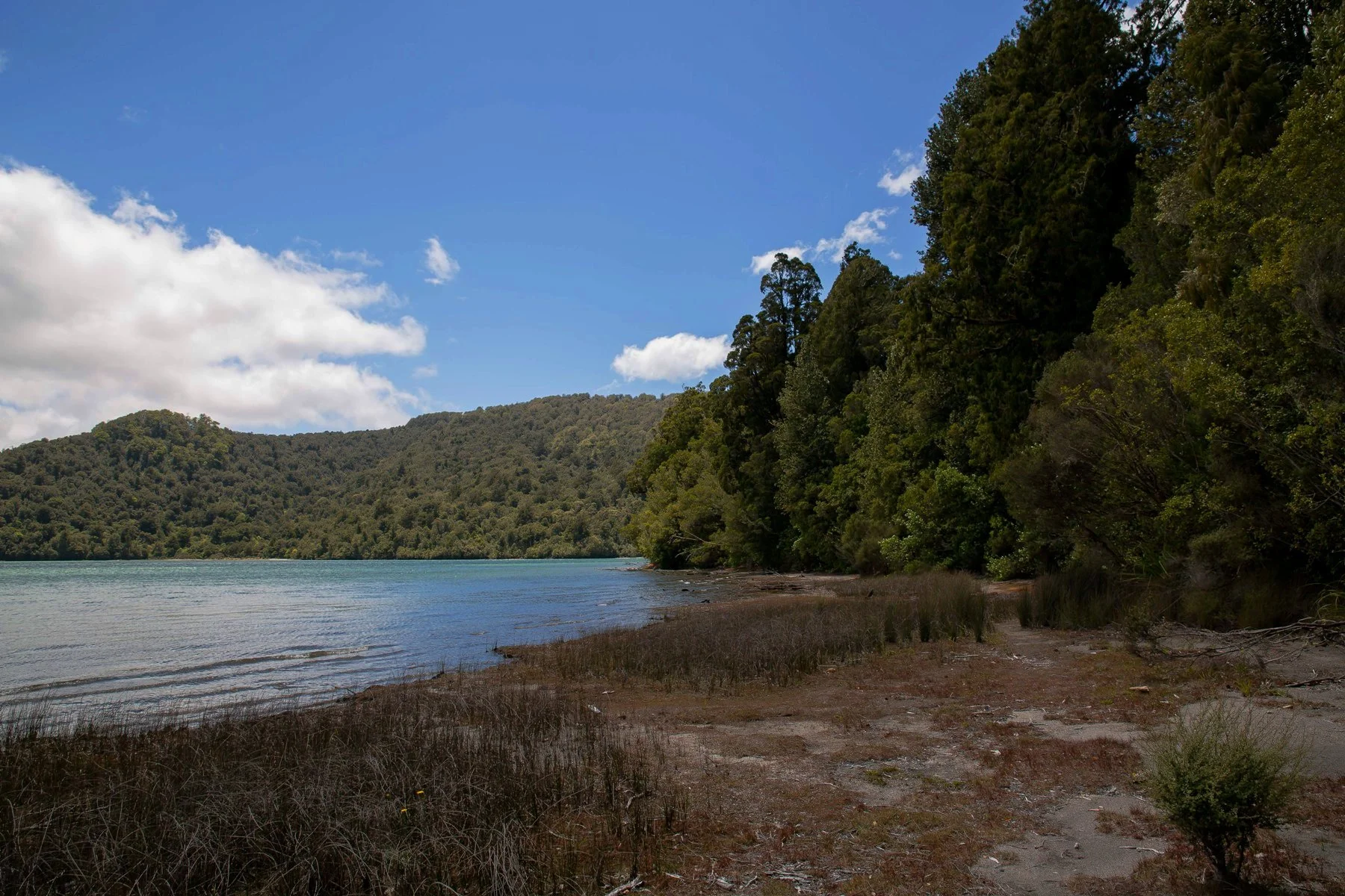 Lake Rotopounamu,d-717.jpg