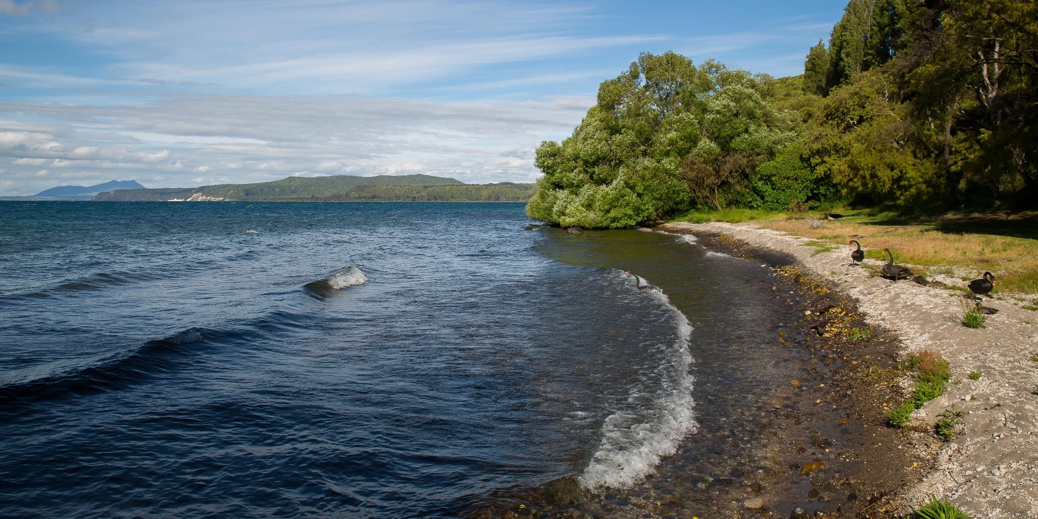 Lake Taupo,d-590.jpg