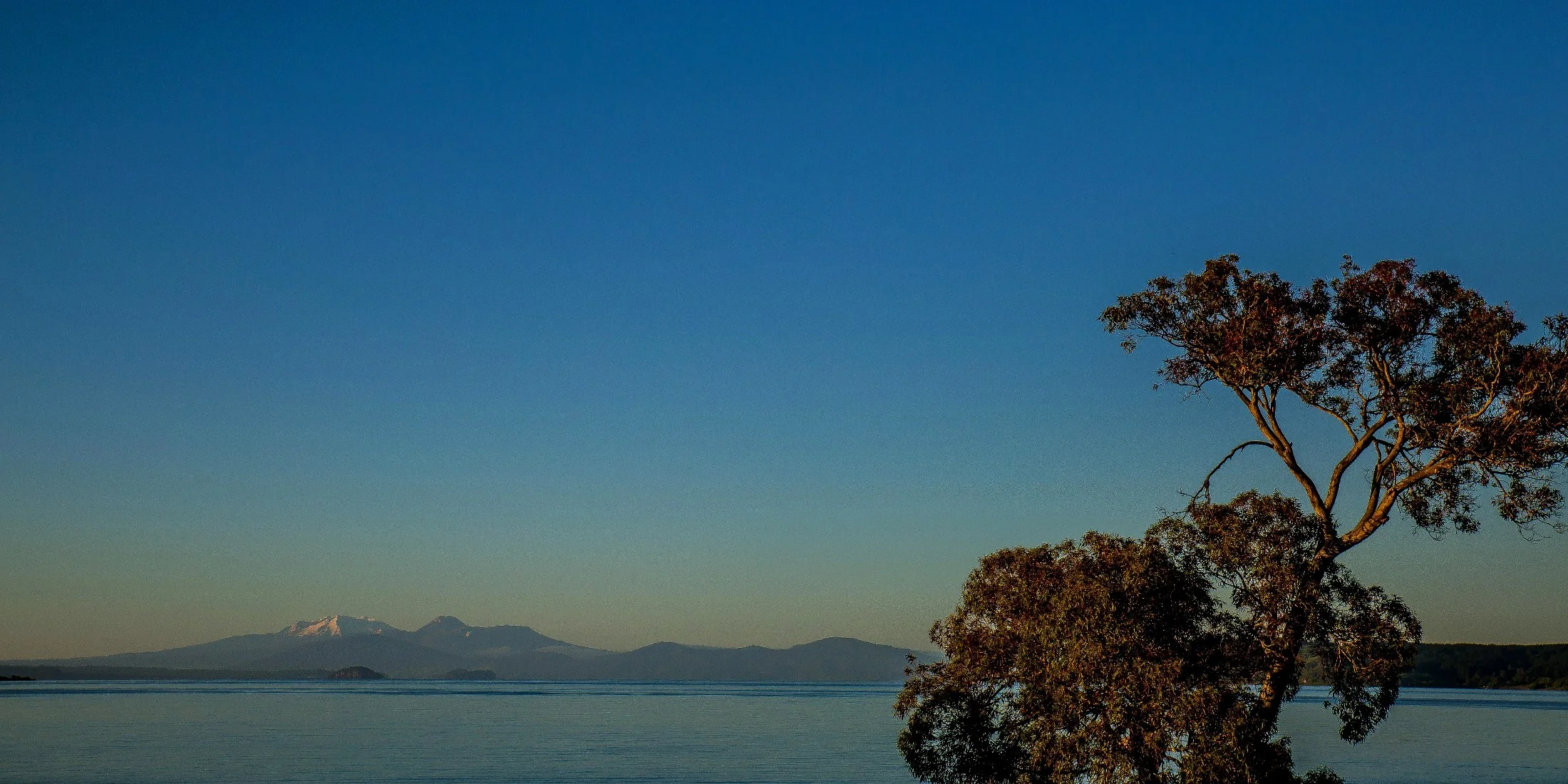 Lake Taupo,d-754.jpg