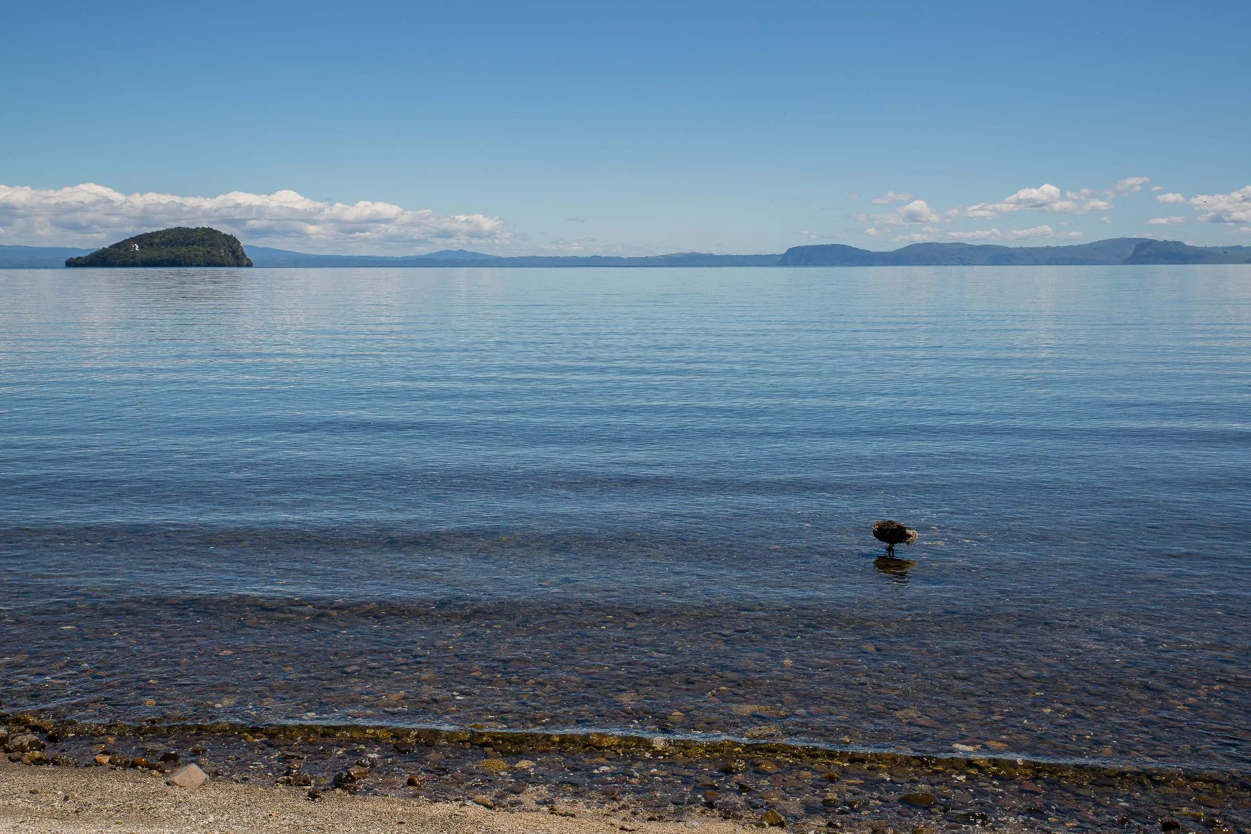 Lake Taupo,d-829.jpg