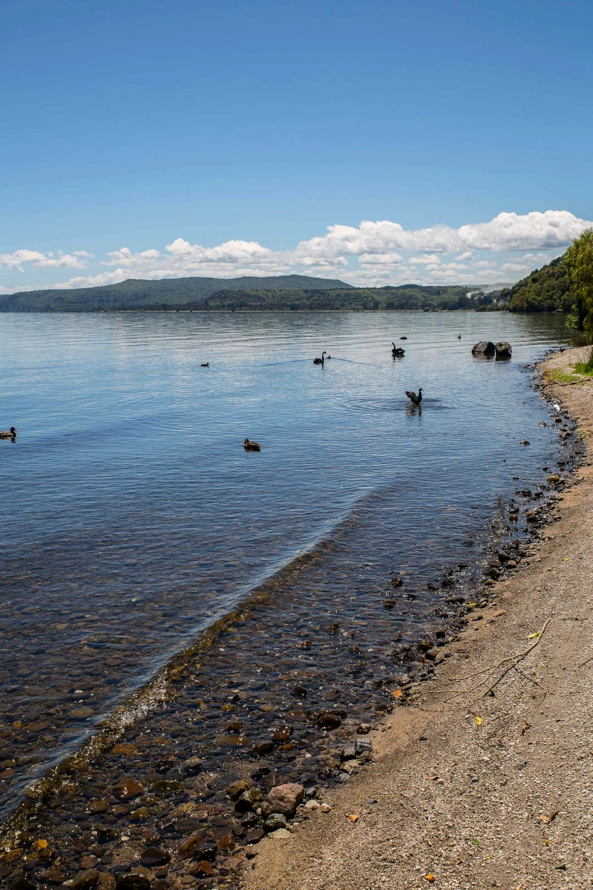 Lake Taupo,d-831.jpg