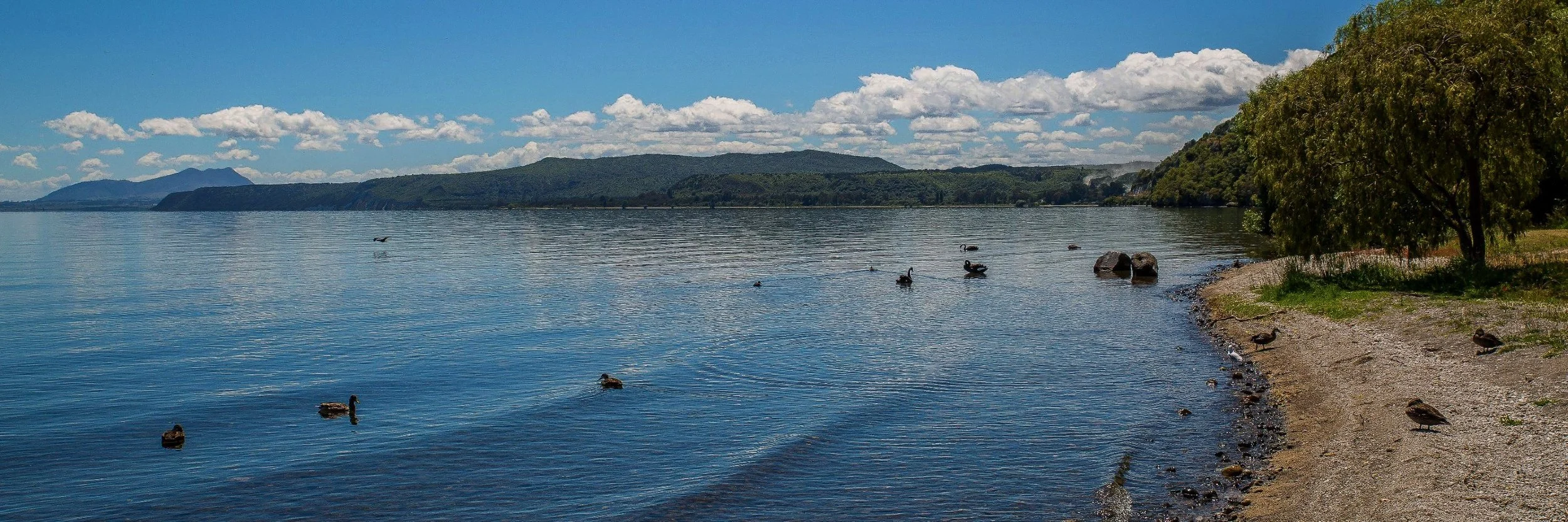 Lake Taupo,d-833.jpg
