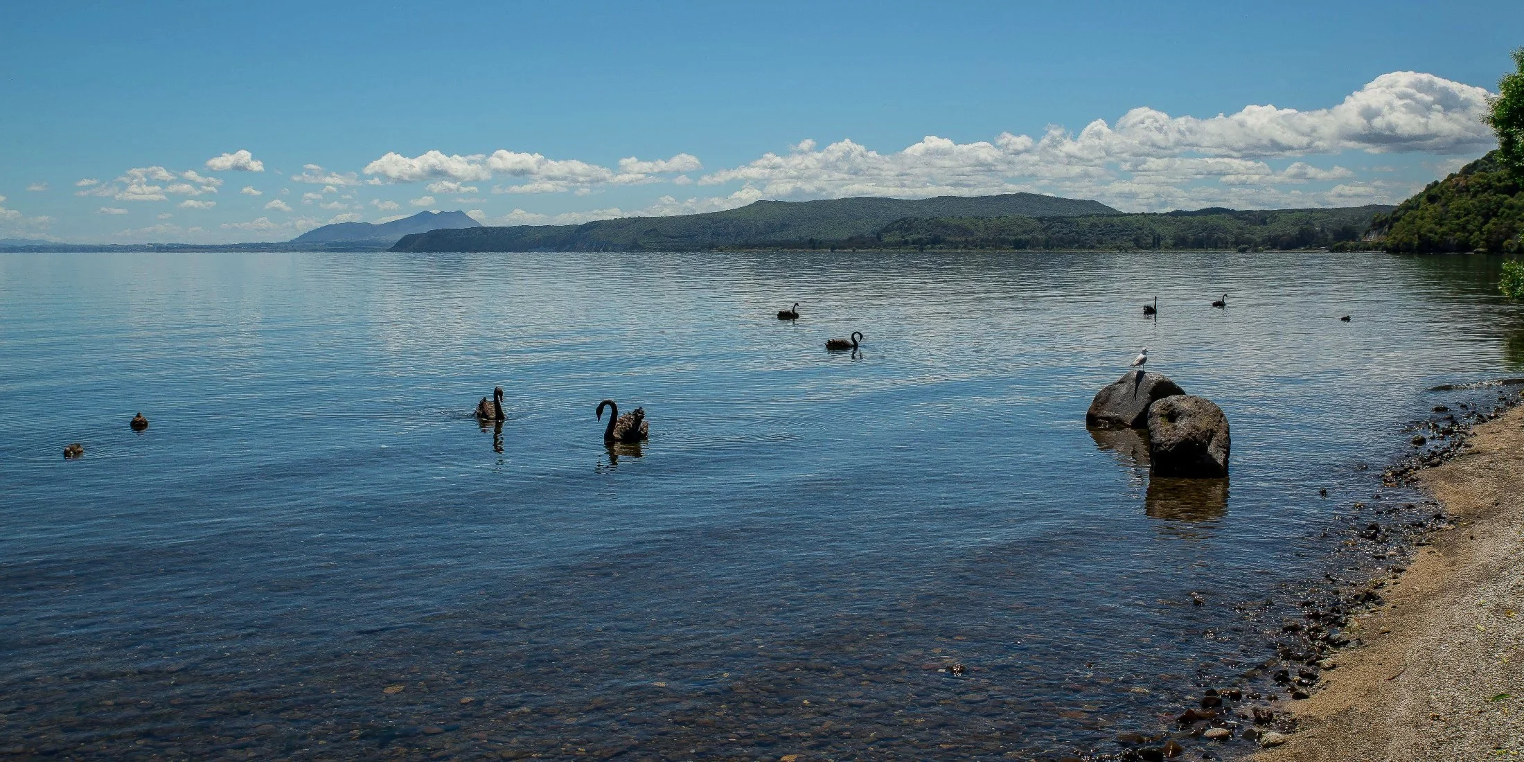 Lake Taupo,d-840.jpg
