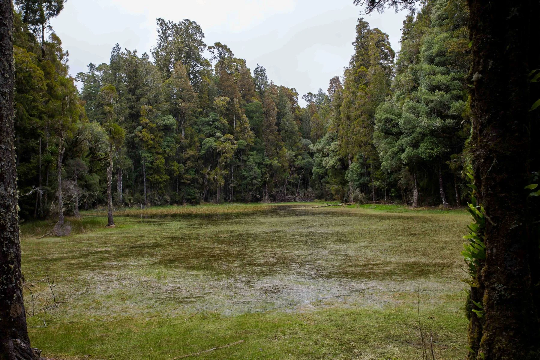 Waihora Lagoon,d-304.jpg
