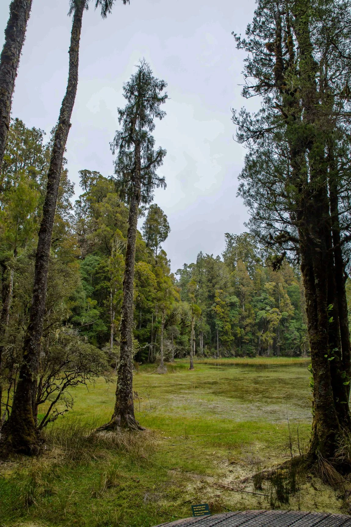 Waihora Lagoon,d-308.jpg