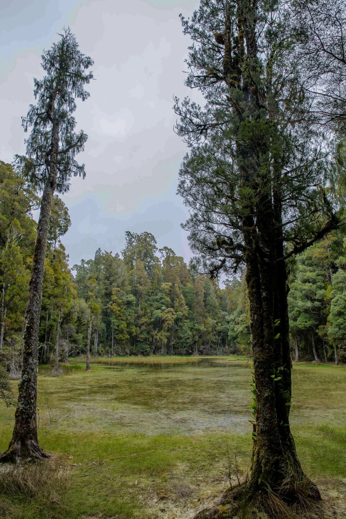 Waihora Lagoon,d-310.jpg