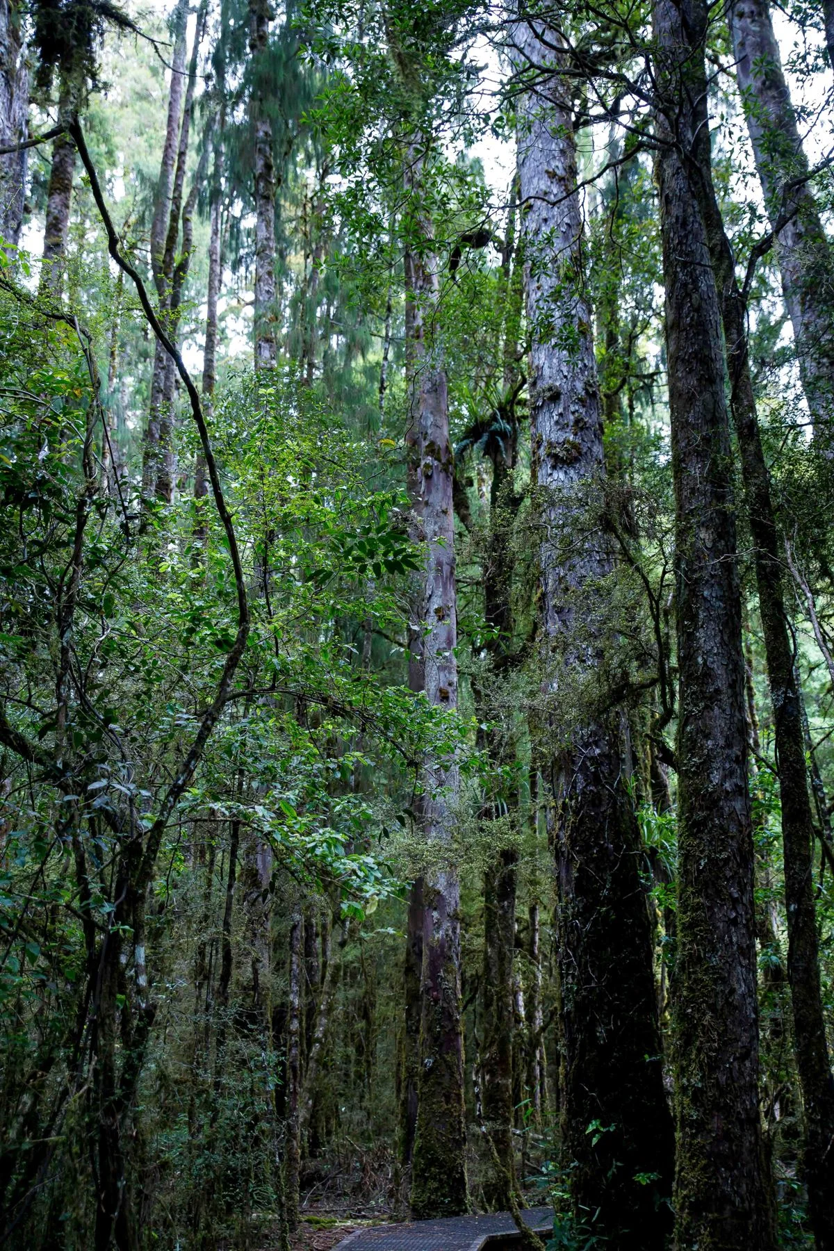 Waihora Lagoon,d-317.jpg