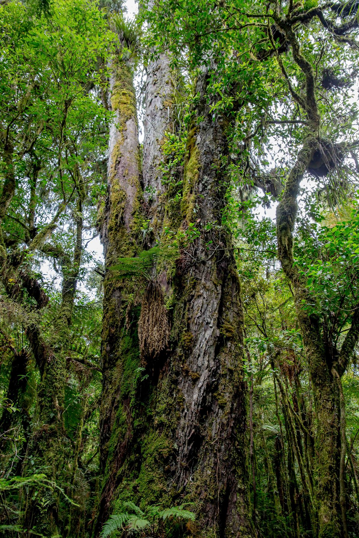 Waihora Lagoon,d-323.jpg