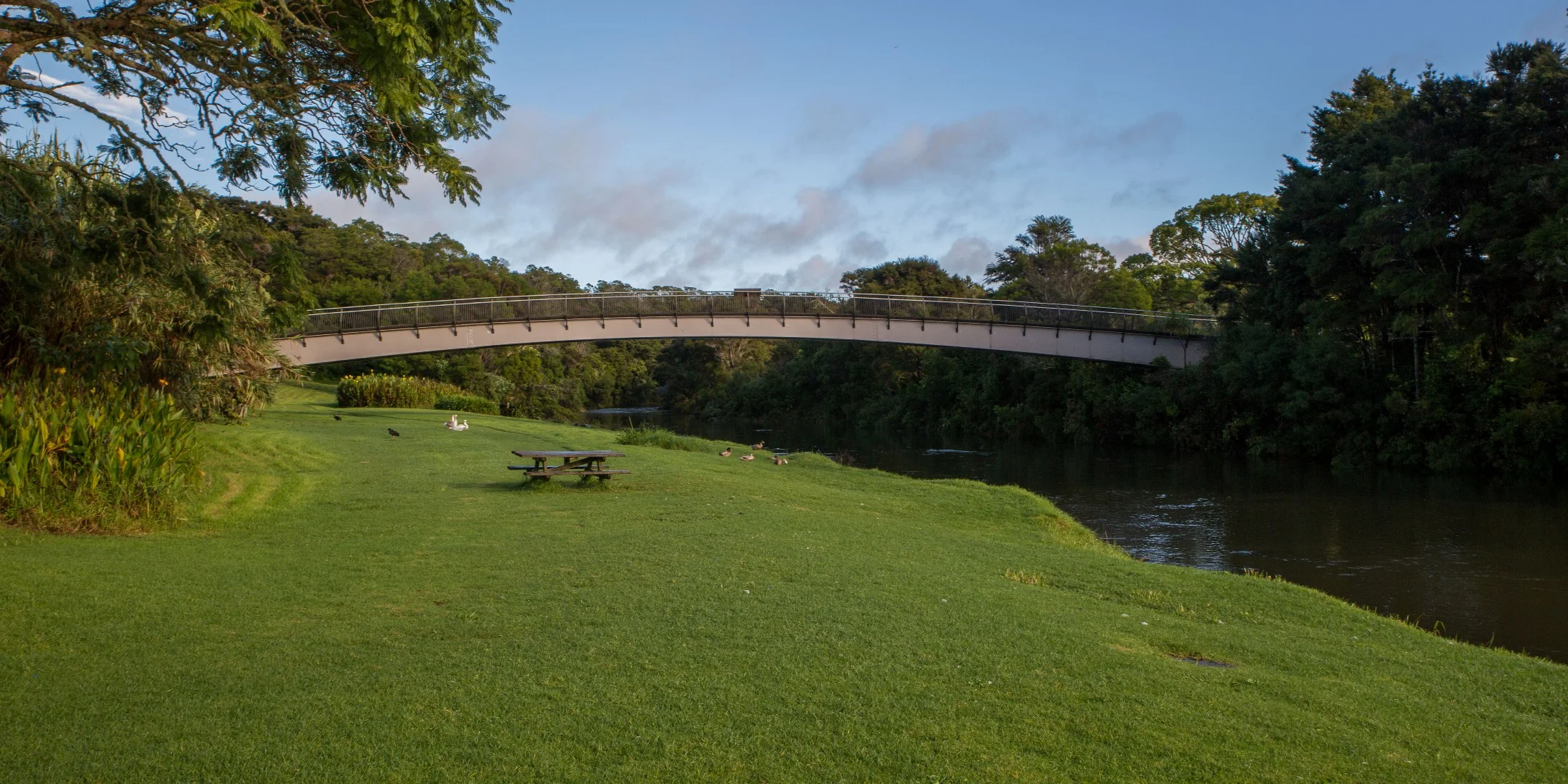 Kerikeri Basin,Footbridge,d-5217.jpg