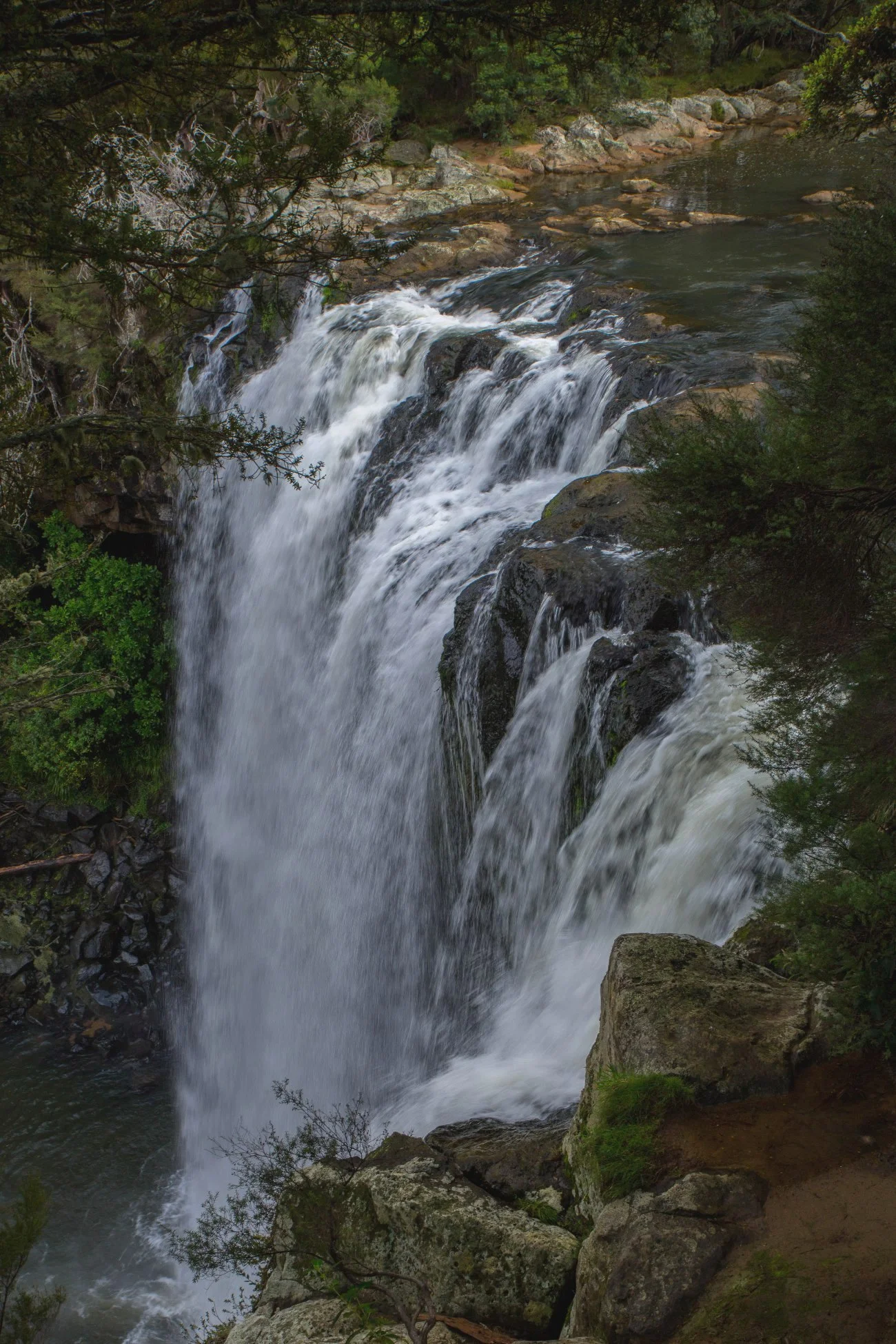Kerikeri,Rainbow Falls,d-5136.jpg
