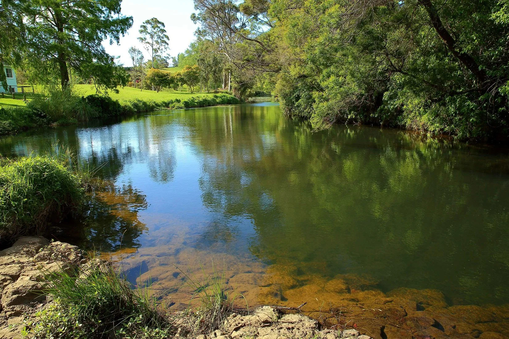 Purerua Peninsula,d-236.jpg