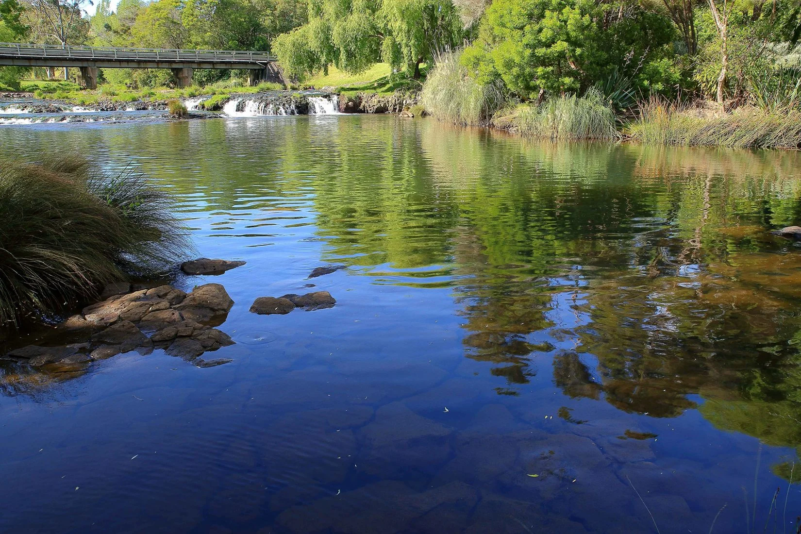 Purerua Peninsula,d-246.jpg