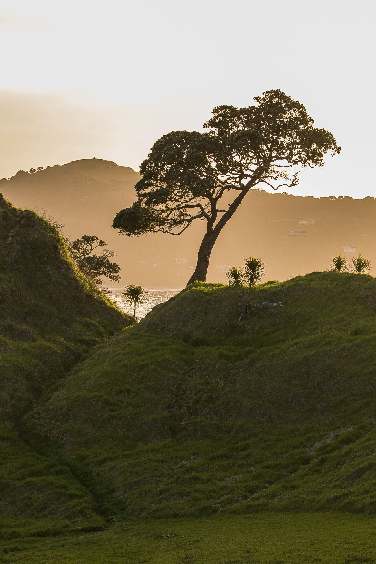 Coopers Beach,d-147.jpg