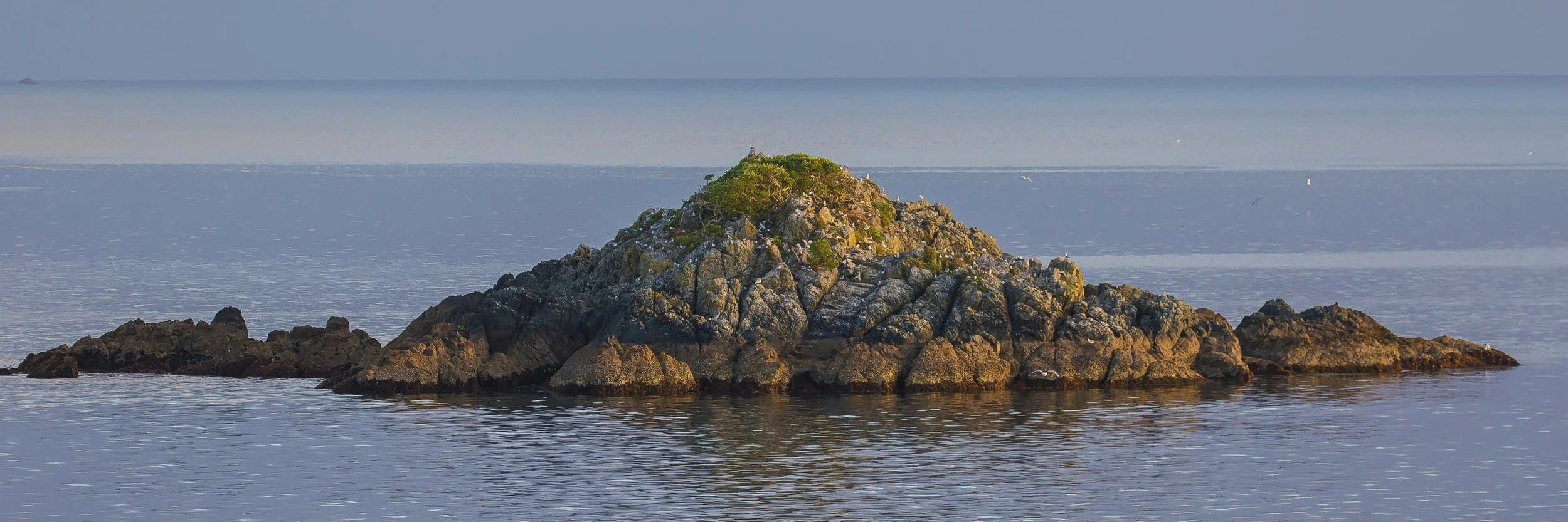 Coopers Beach,d-148.jpg