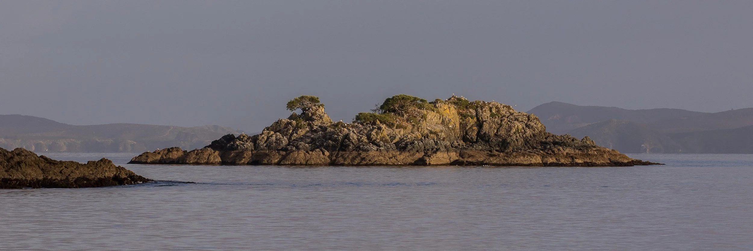 Coopers Beach,d-156.jpg