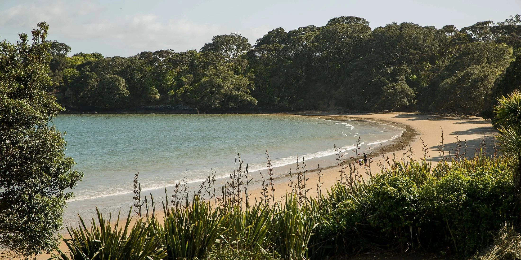 Coopers Beach,d-241.jpg