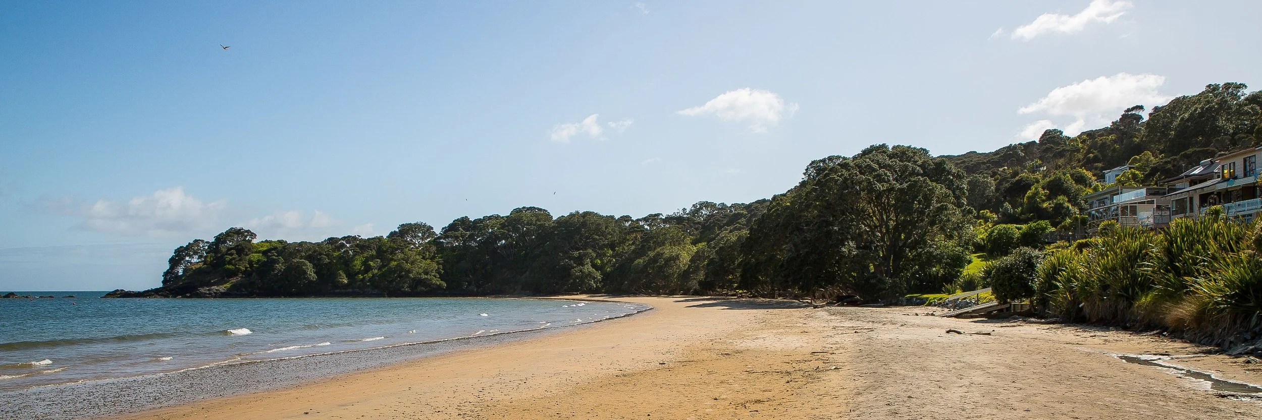 Coopers Beach,d-243.jpg