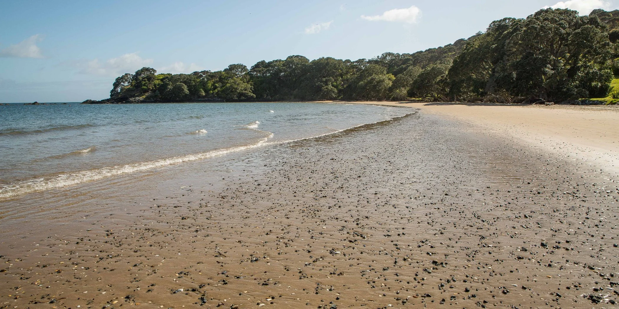 Coopers Beach,d-244.jpg