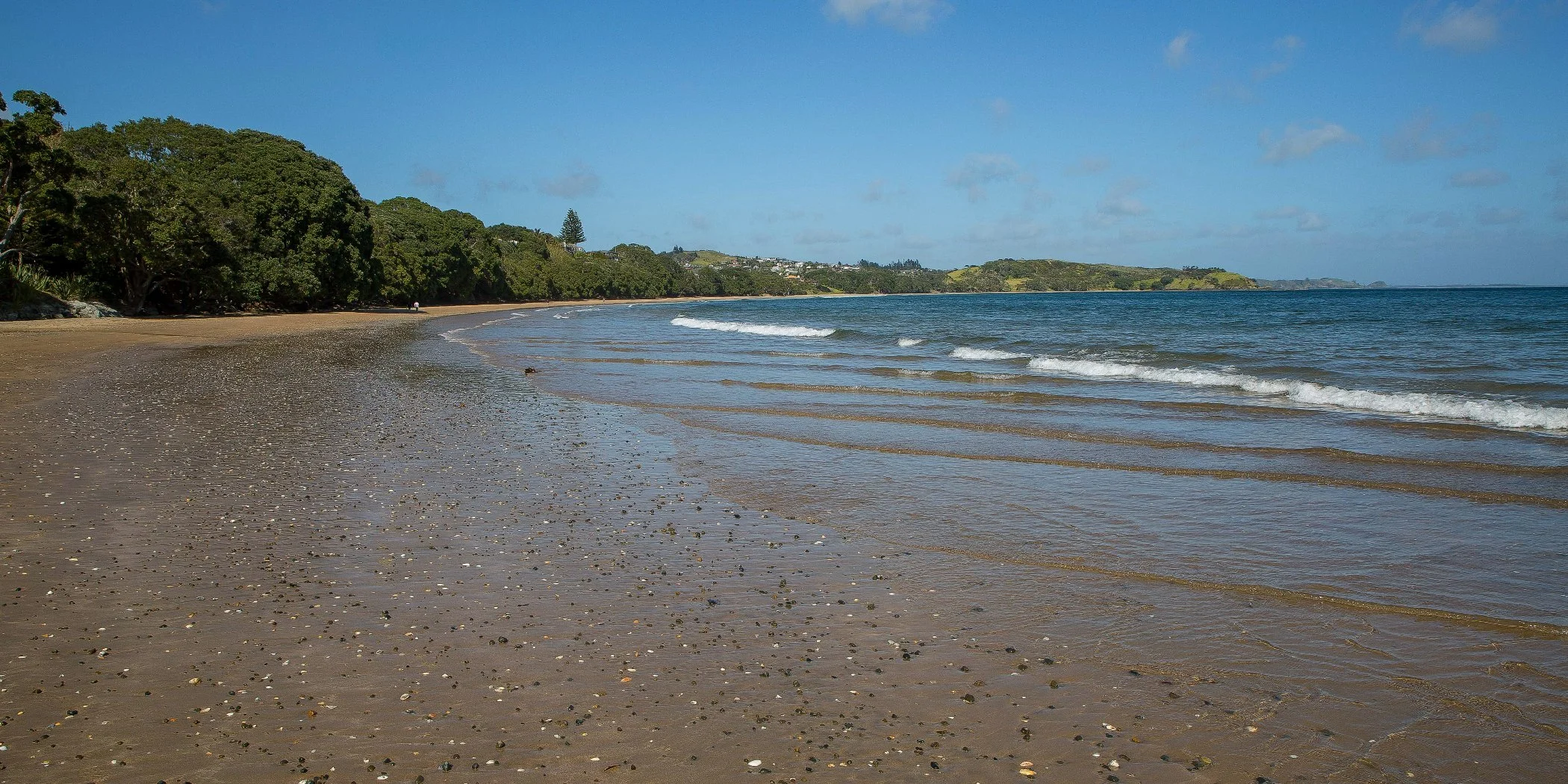 Coopers Beach,d-245.jpg