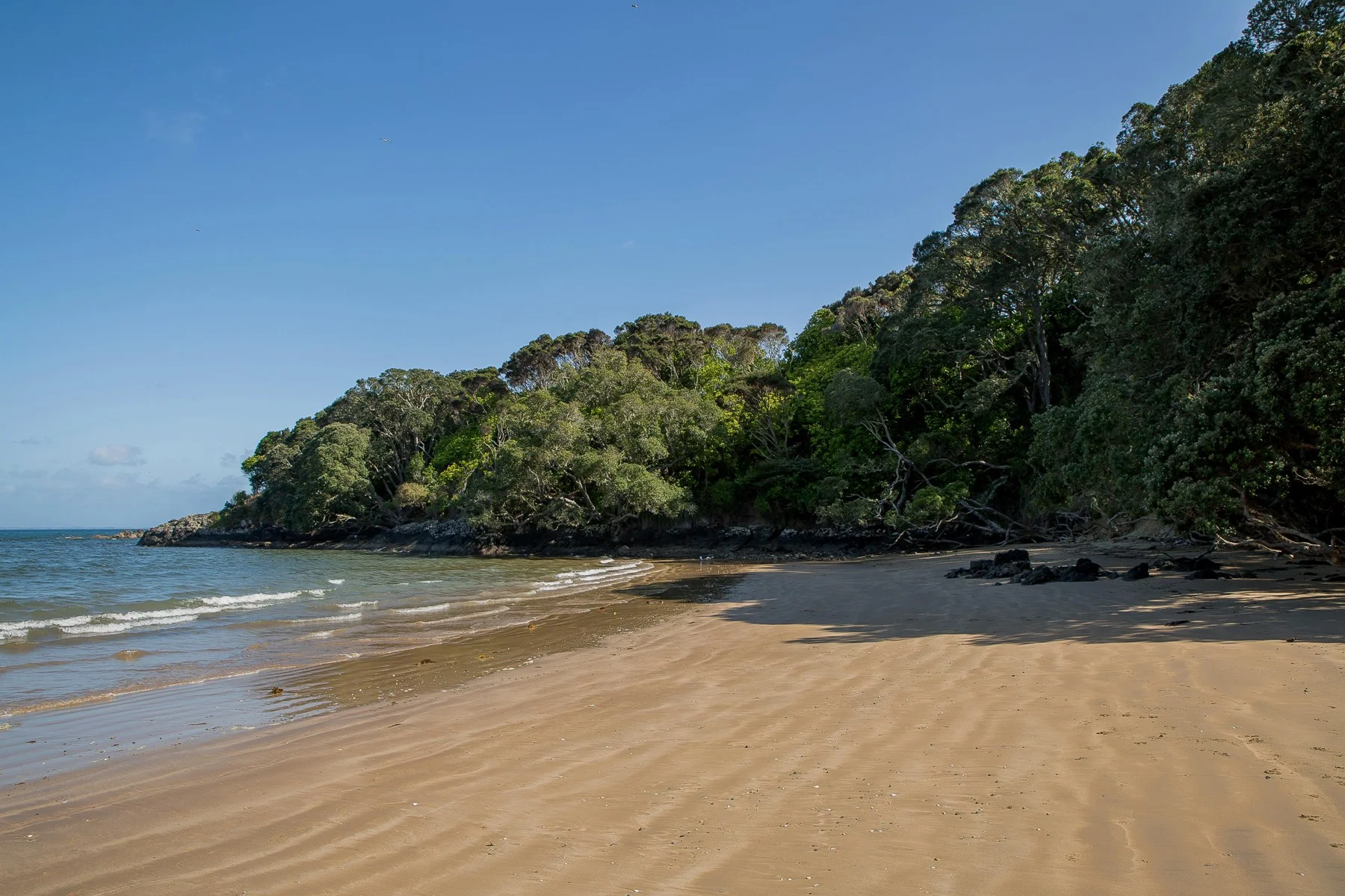 Coopers Beach,d-259.jpg