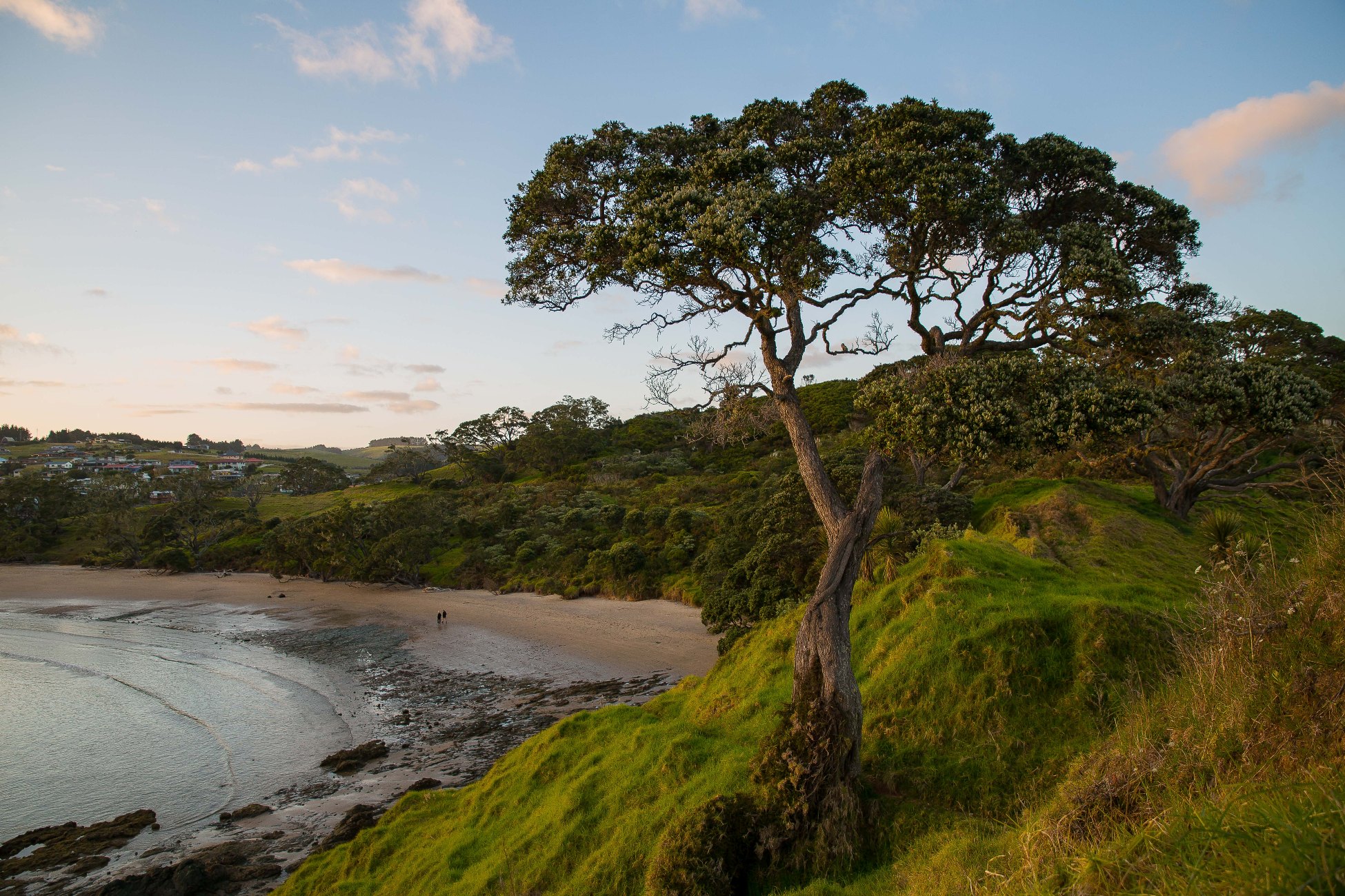 Coopers Beach,d-373.jpg