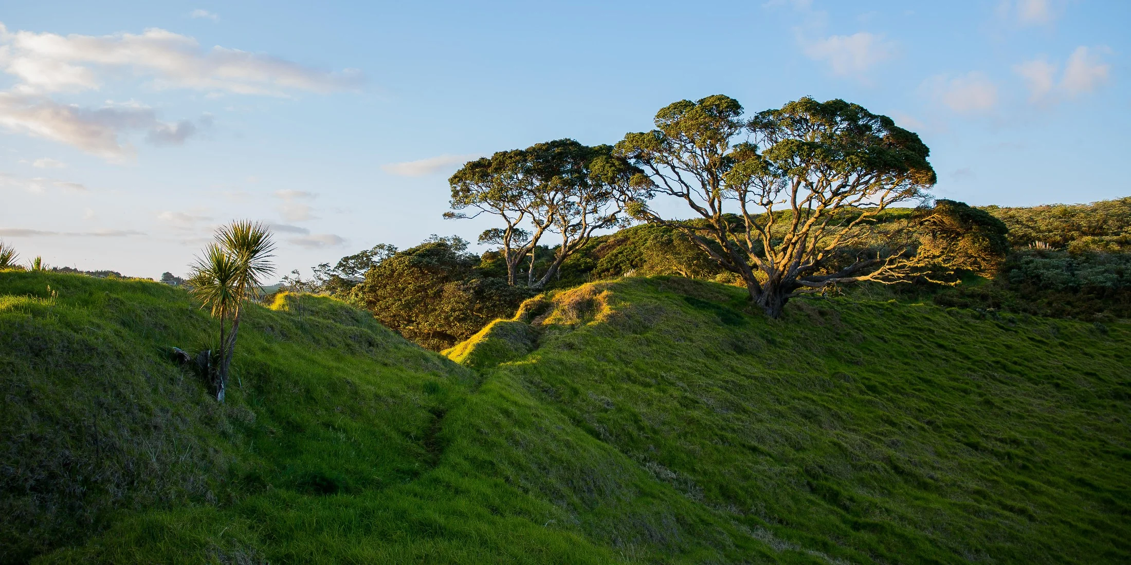 Coopers Beach,d-381.jpg