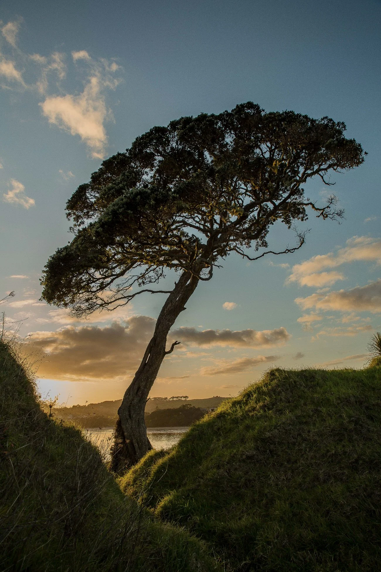 Coopers Beach,d-385.jpg