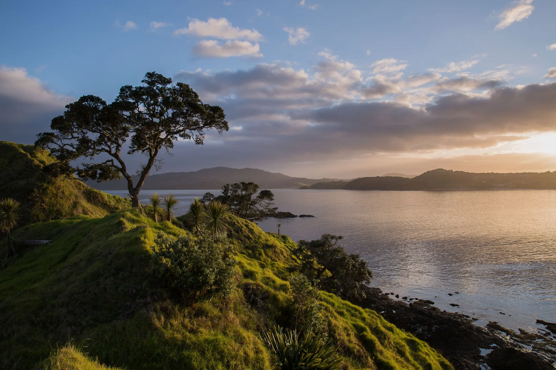 Coopers Beach,d-389.jpg