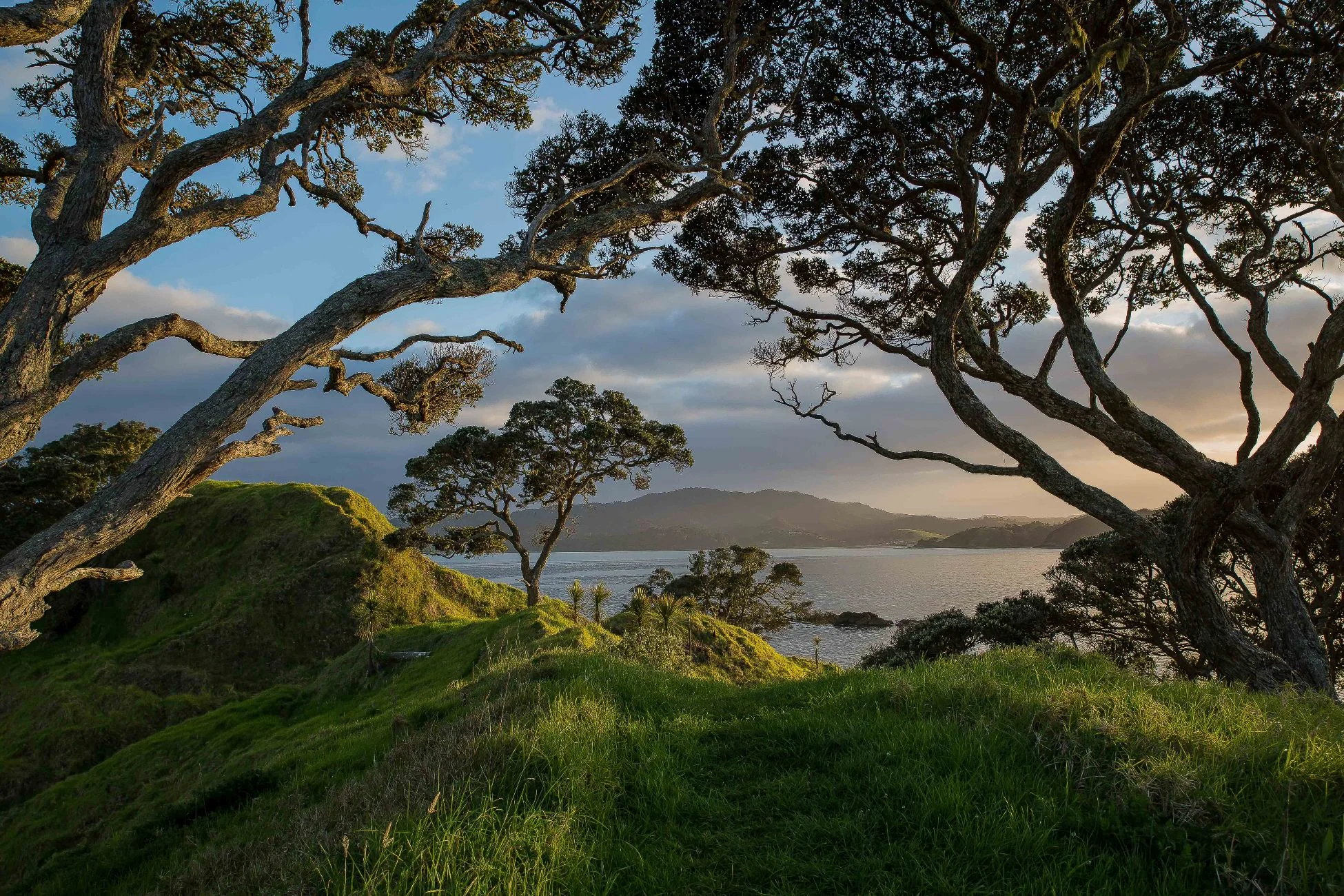 Coopers Beach,d-395.jpg