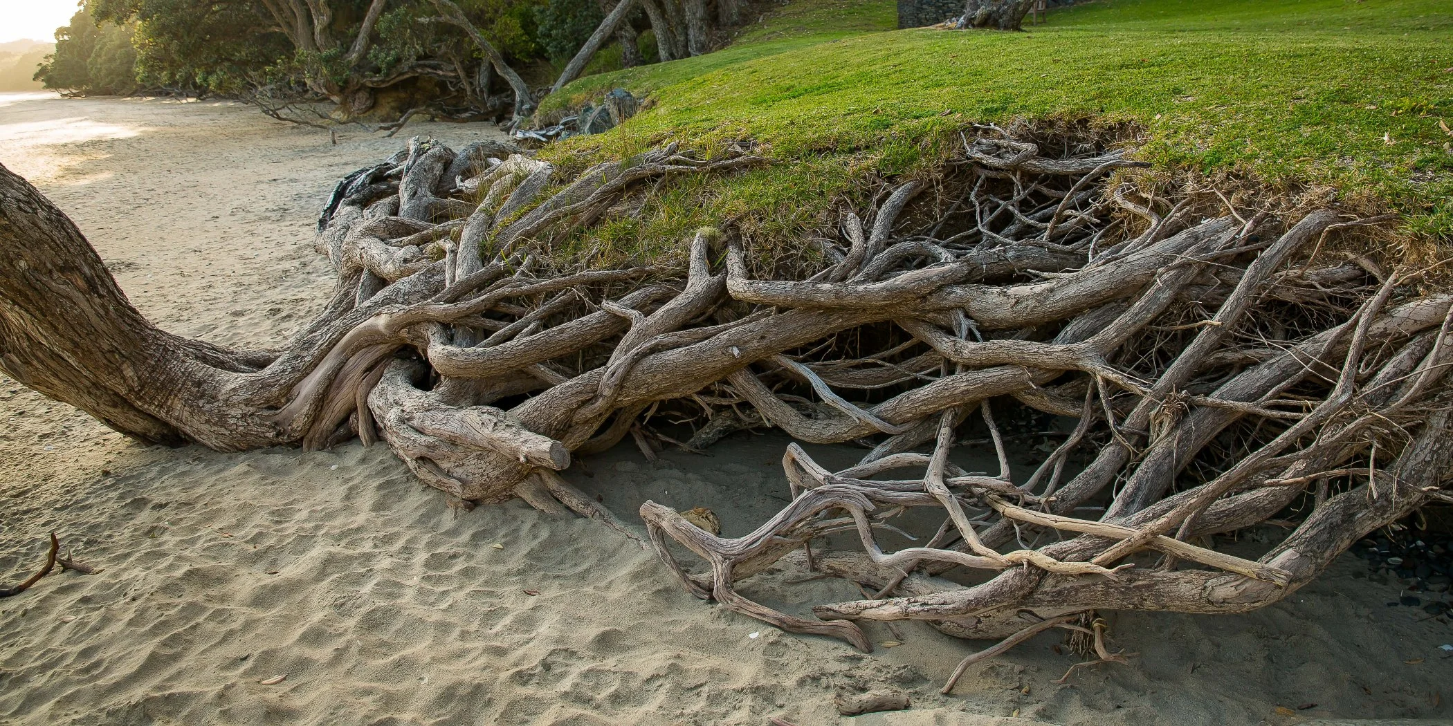 Coopers Beach,d-425.jpg