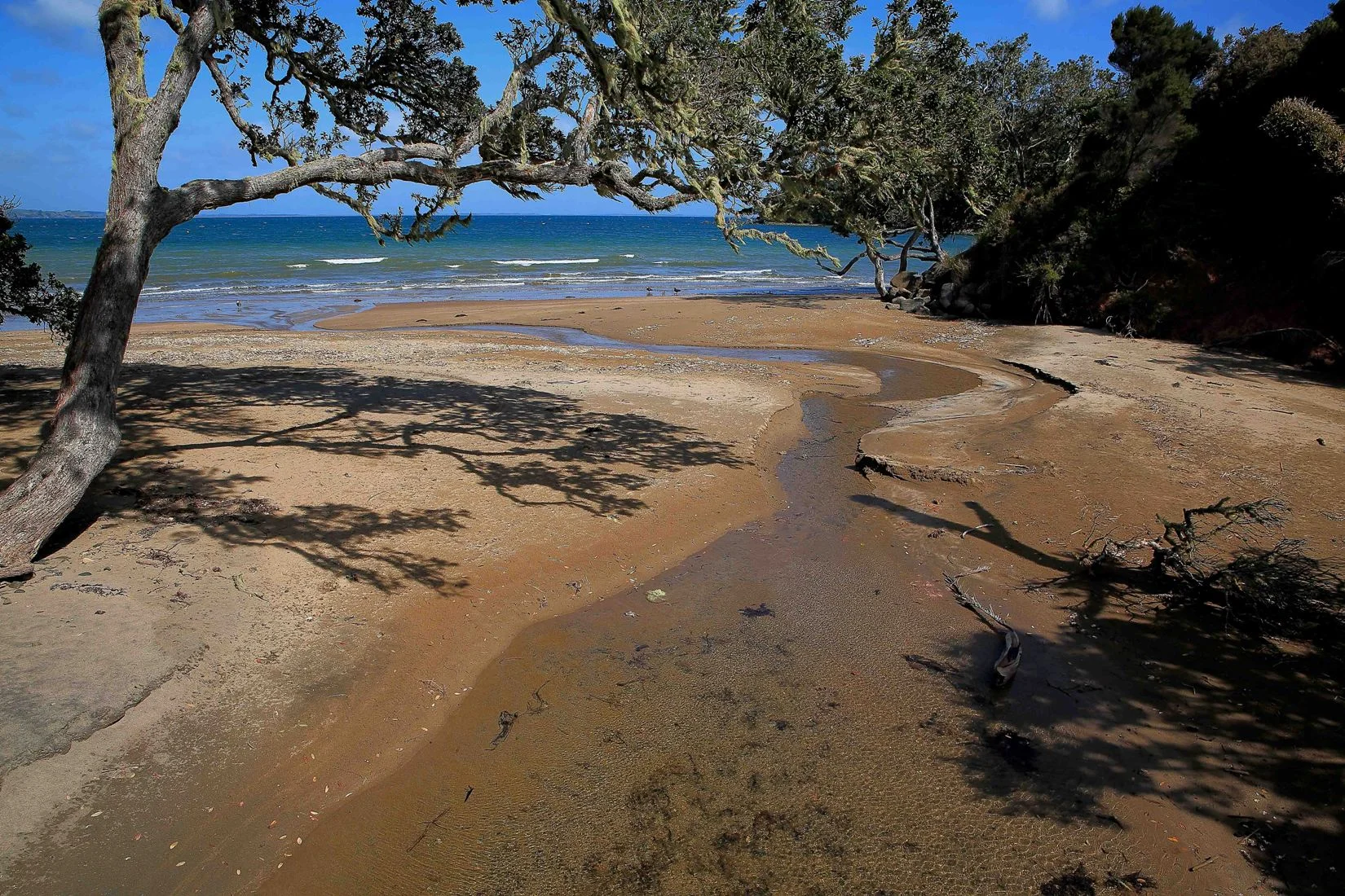 Hihi Beach,d-264.jpg