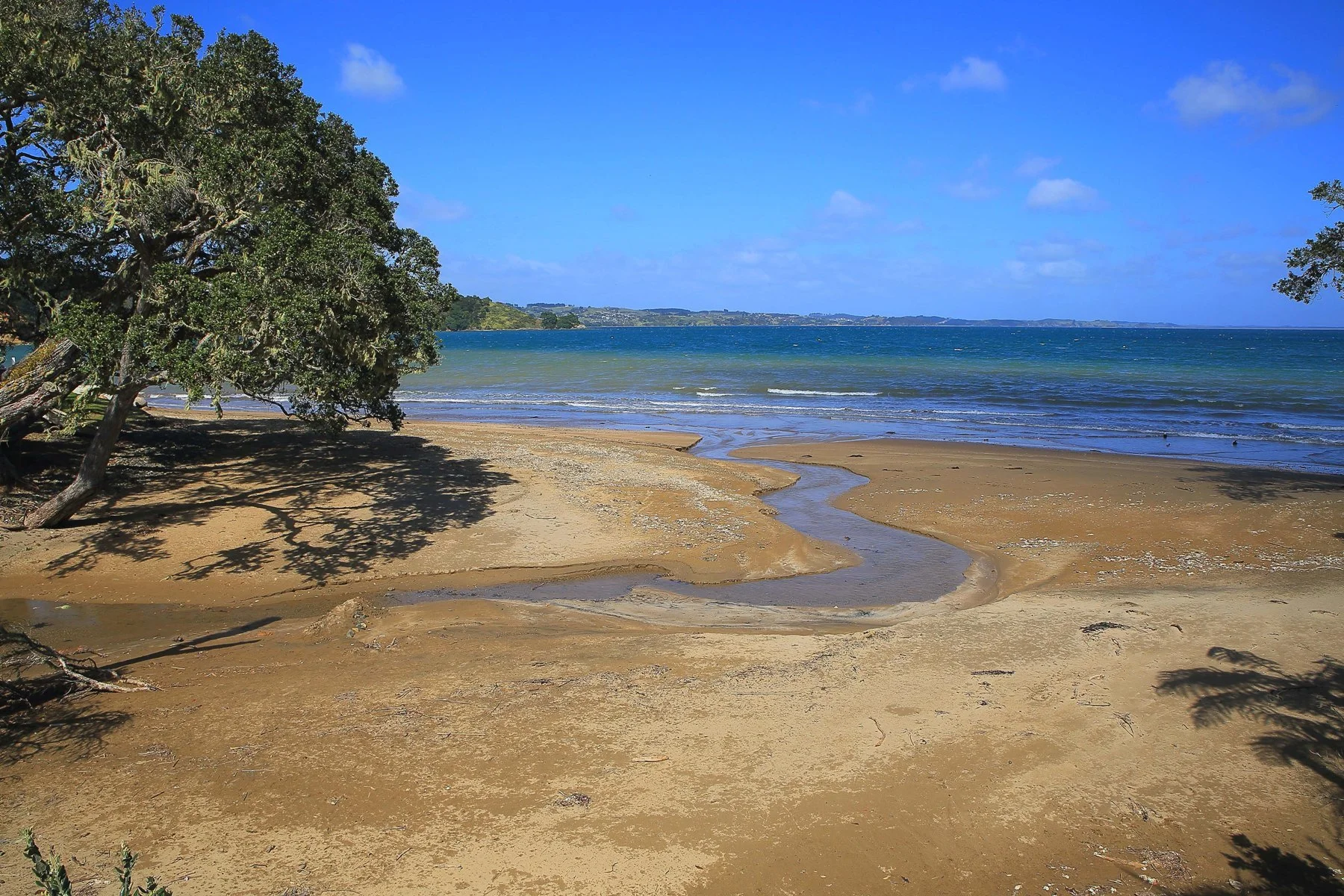 Hihi Beach,d-266.jpg