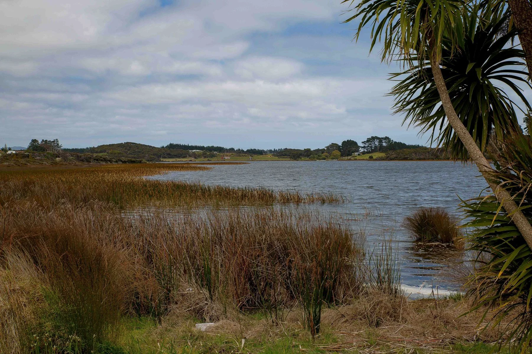 Lake Ngatu,d-449.jpg