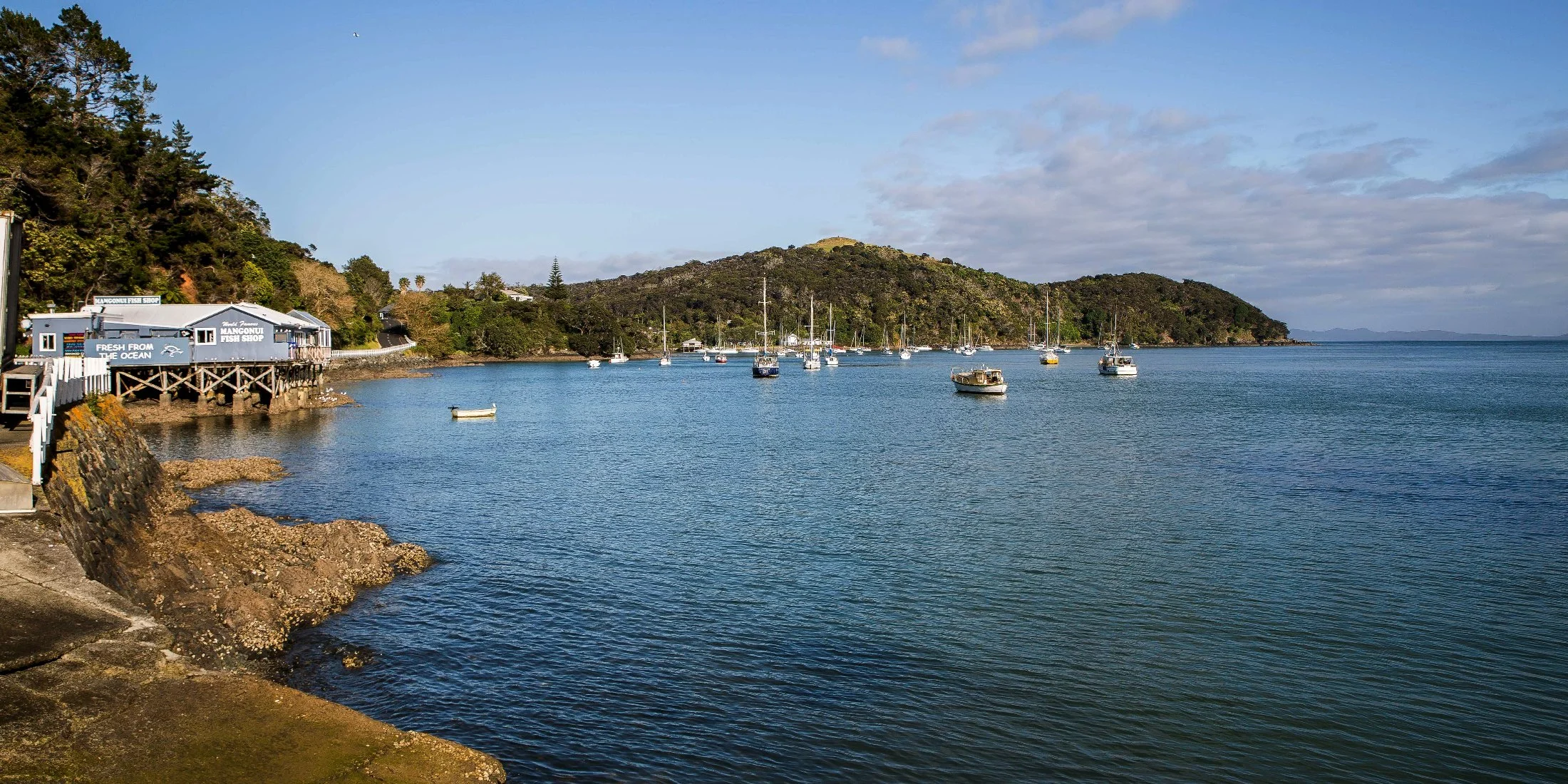 Mangonui,d-225.jpg